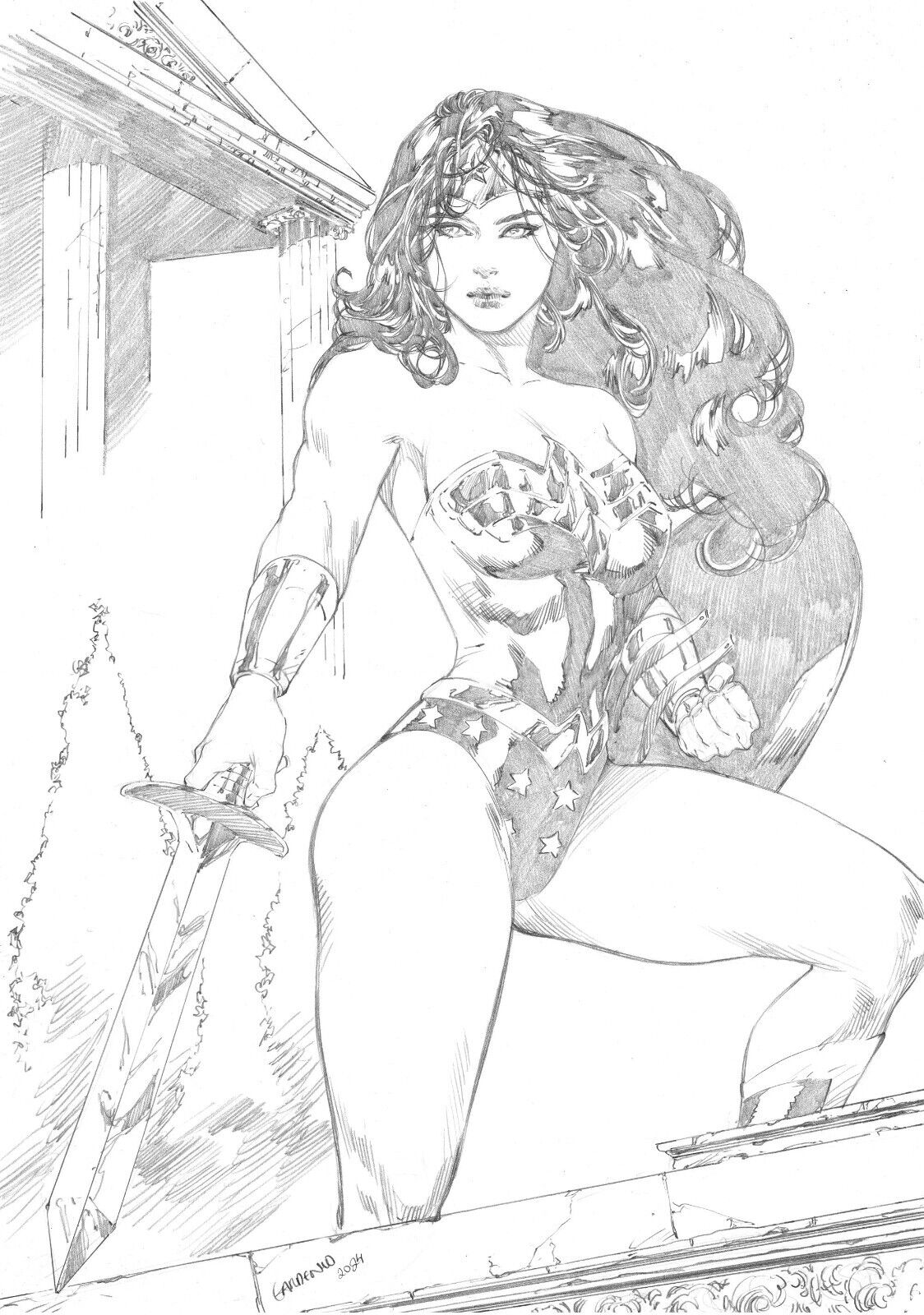 Wonder Woman selection by Gardenio Lima image number 4