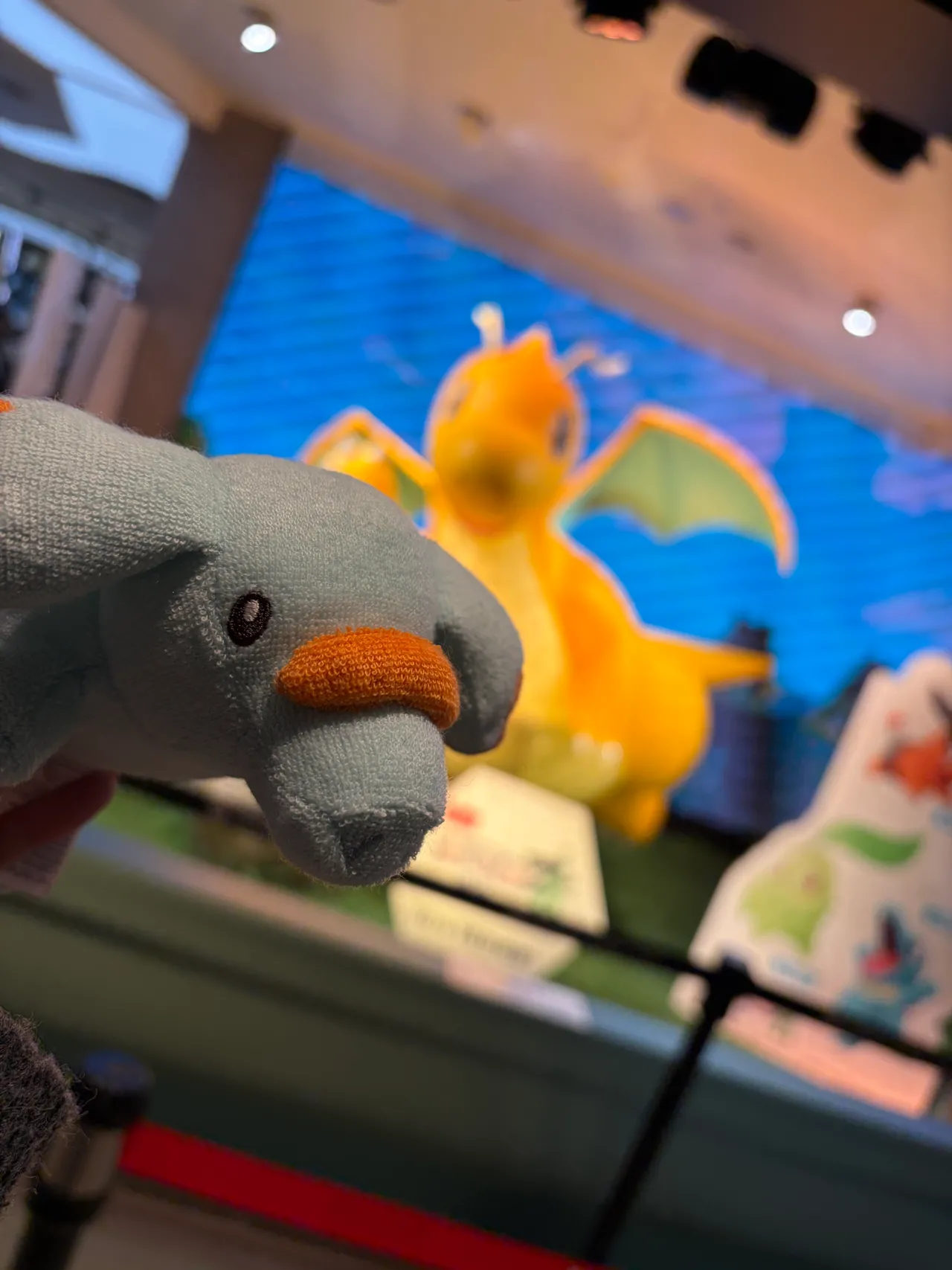 玉之けだま@毛玉牛乳2025.12 image number 18