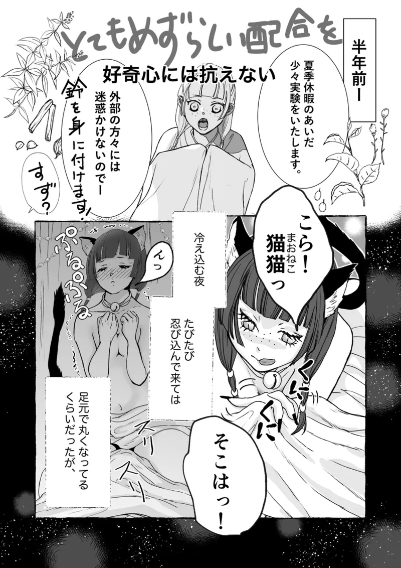 ( Kaze-san]Mao neko (Kusuriya no Hitorigoto] numero di immagine  6