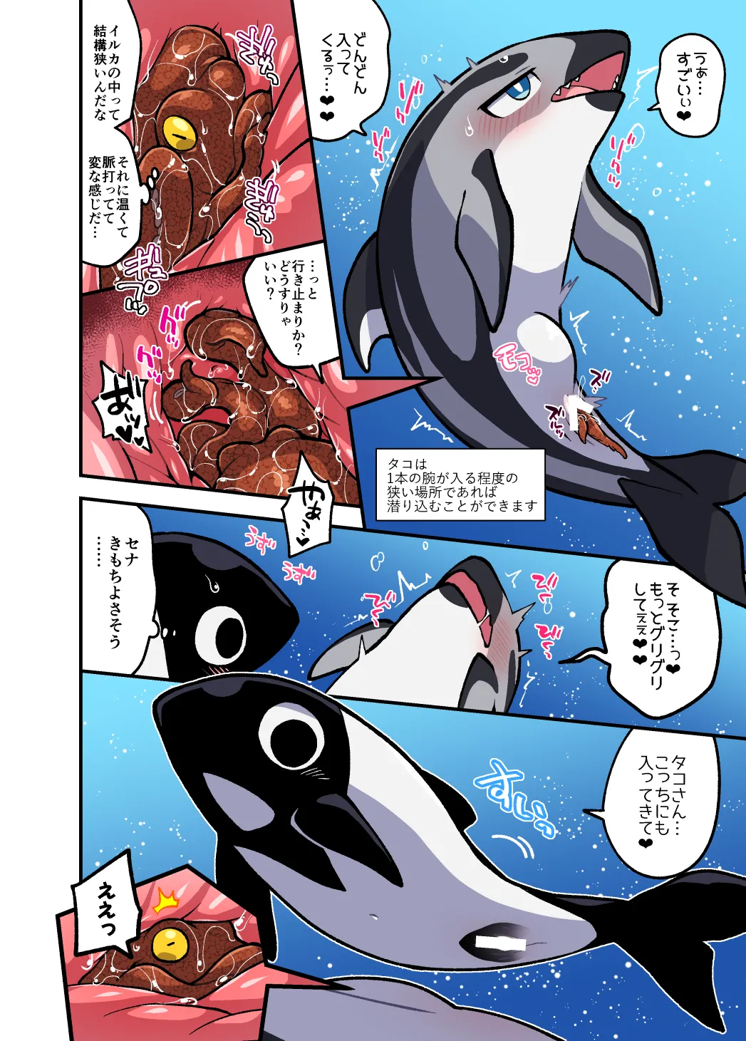 [Ika Guerrilla (Kageyama)] Dokidoki Suizokukan [Digital] изображение № 5