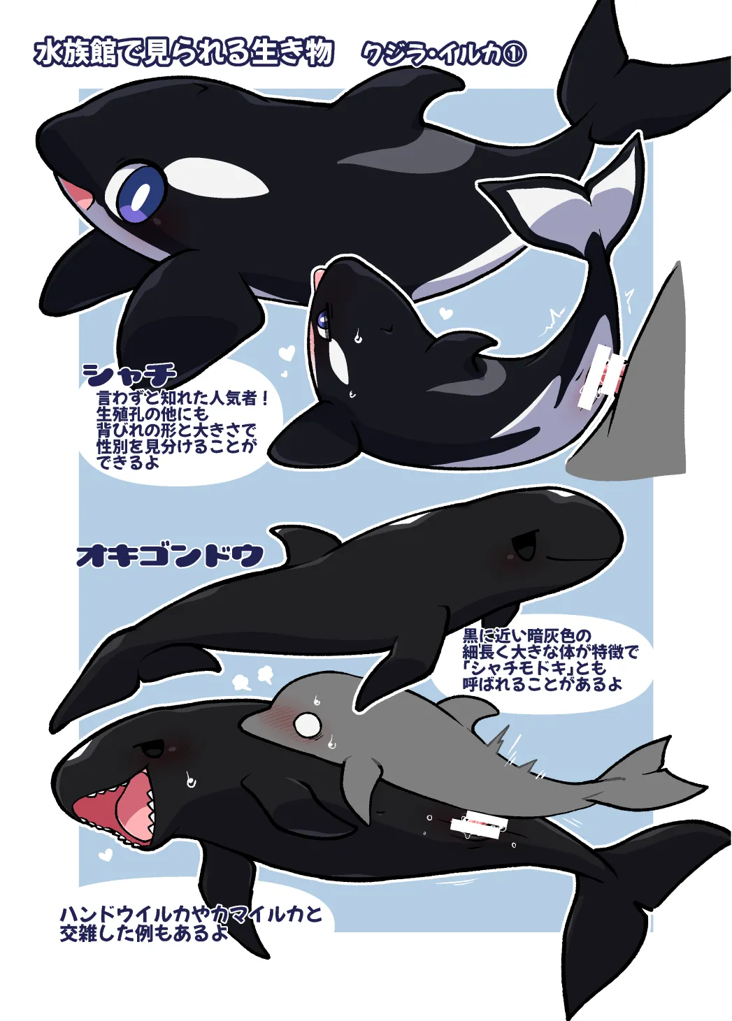 [Ika Guerrilla (Kageyama)] Dokidoki Suizokukan [Digital] изображение № 10