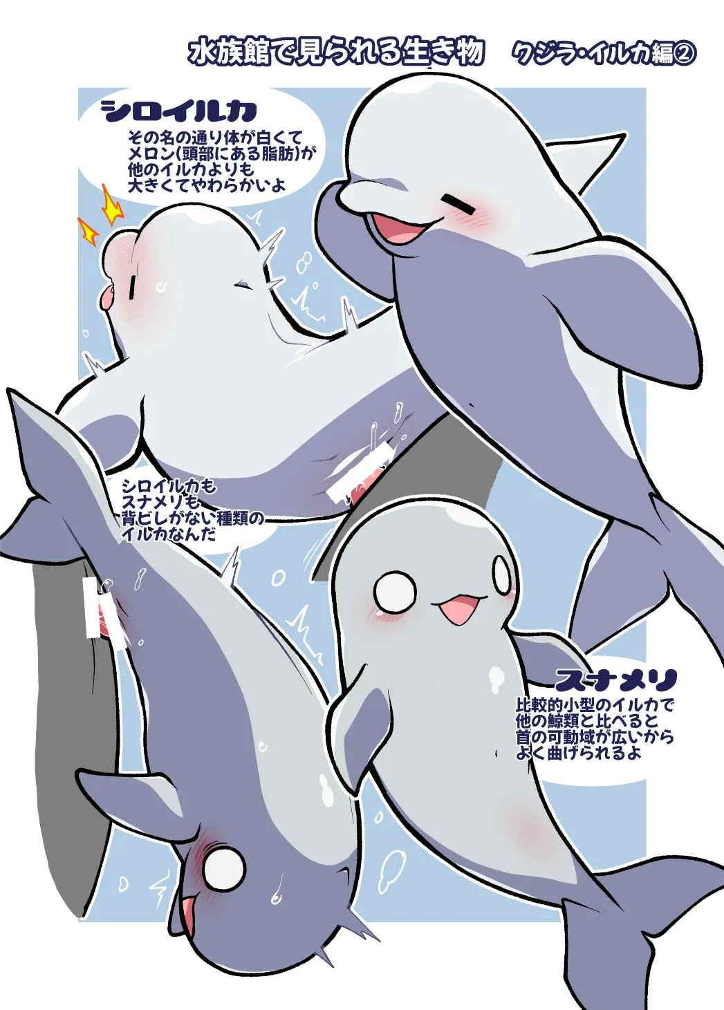 [Ika Guerrilla (Kageyama)] Dokidoki Suizokukan [Digital] изображение № 11