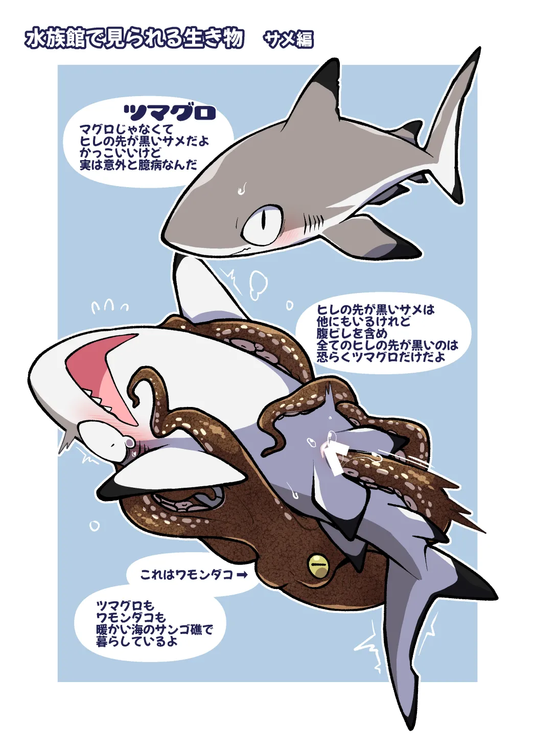 [Ika Guerrilla (Kageyama)] Dokidoki Suizokukan [Digital] изображение № 12