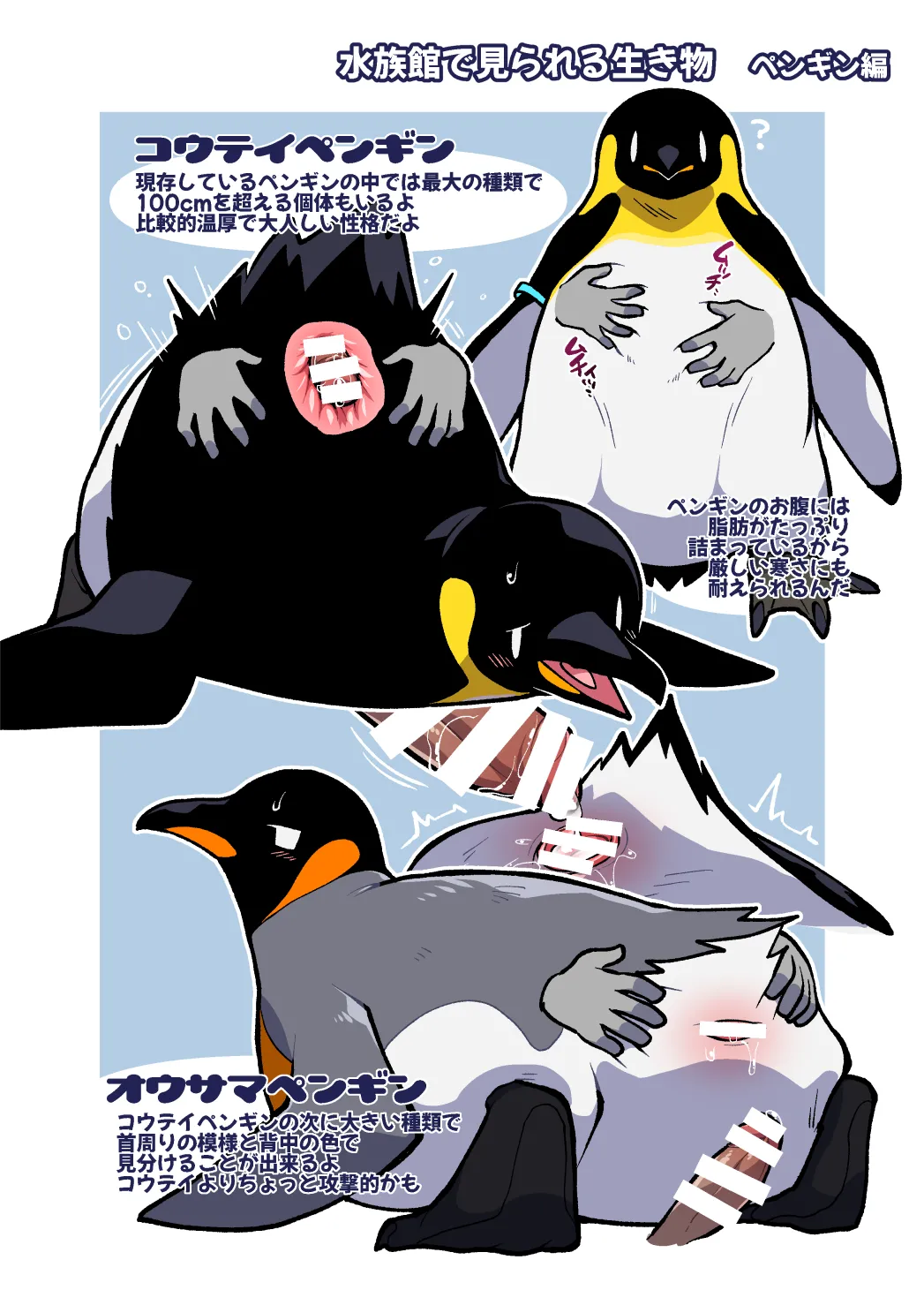 [Ika Guerrilla (Kageyama)] Dokidoki Suizokukan [Digital] изображение № 13