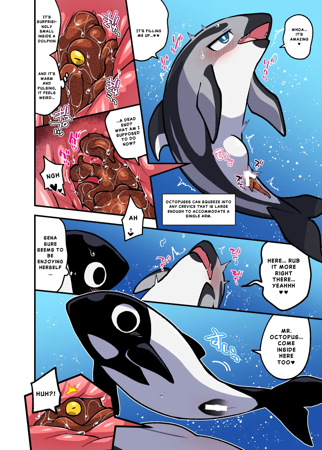 [Ika Guerrilla (Kageyama)] Dokidoki Suizokukan [English] 이미지 번호 5