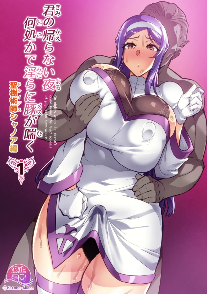 [Hatoba Akane] Kimi ga Kaeranai Yoru Dokoka de Midara ni Buta ga Aeku Ch. 1-5 Bildnummer 1