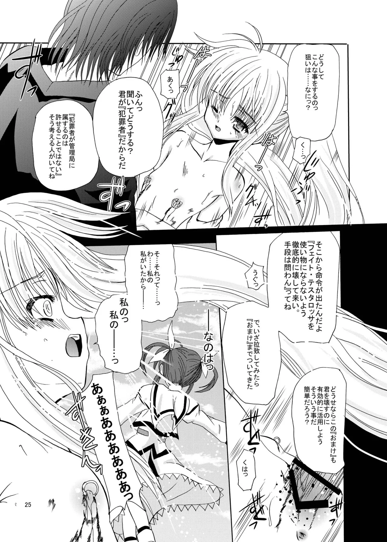[Cartagra (Kugami Angning)] ARCANUMS11 SIDE:F (Mahou Shoujo Lyrical Nanoha) [Digital] numero di immagine  24