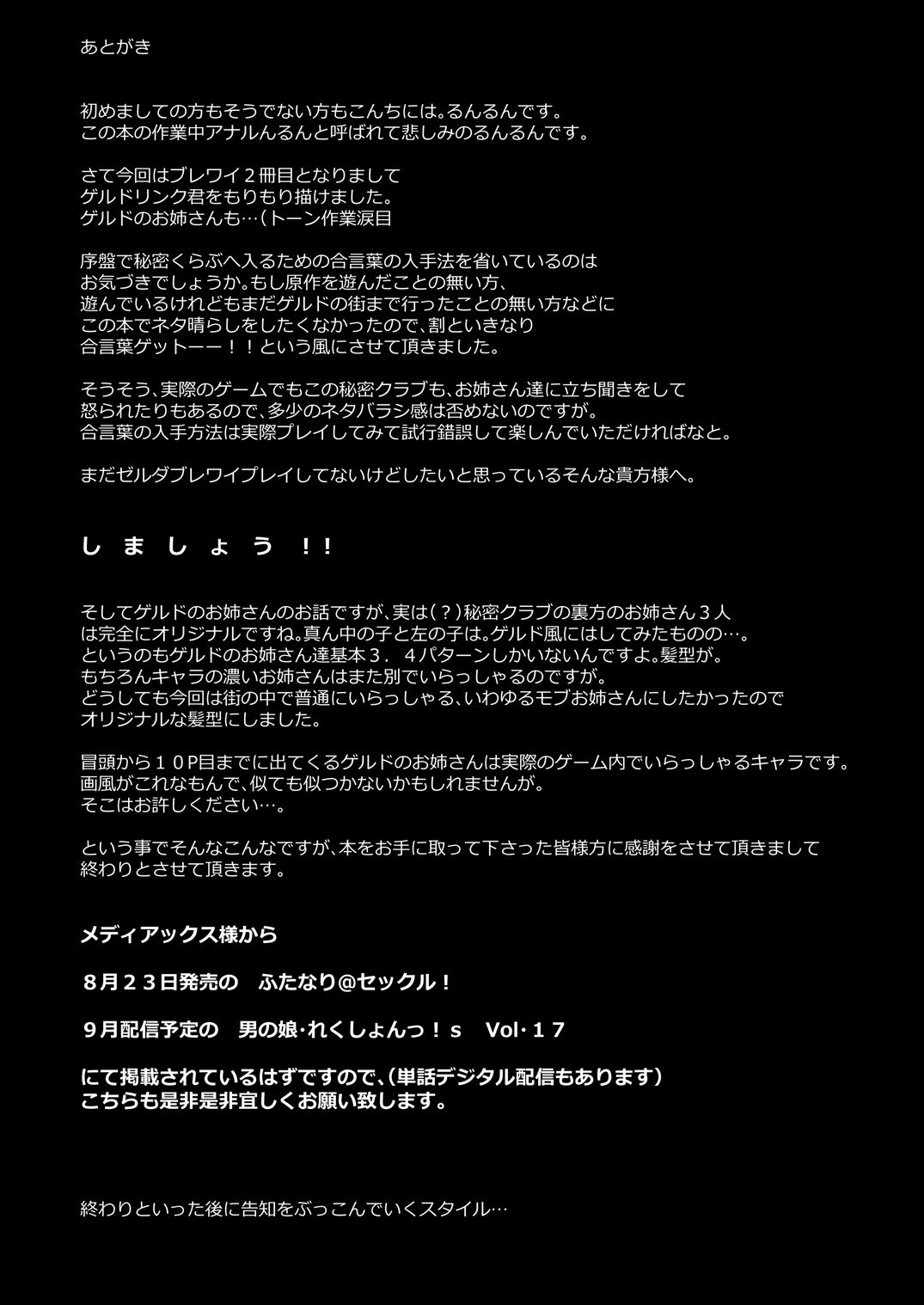 [Maltese (Runrun)] Eiketsu Yuusha no Himitsu Arbeit (The Legend of Zelda) [Italian] [Digital] 图片编号 24