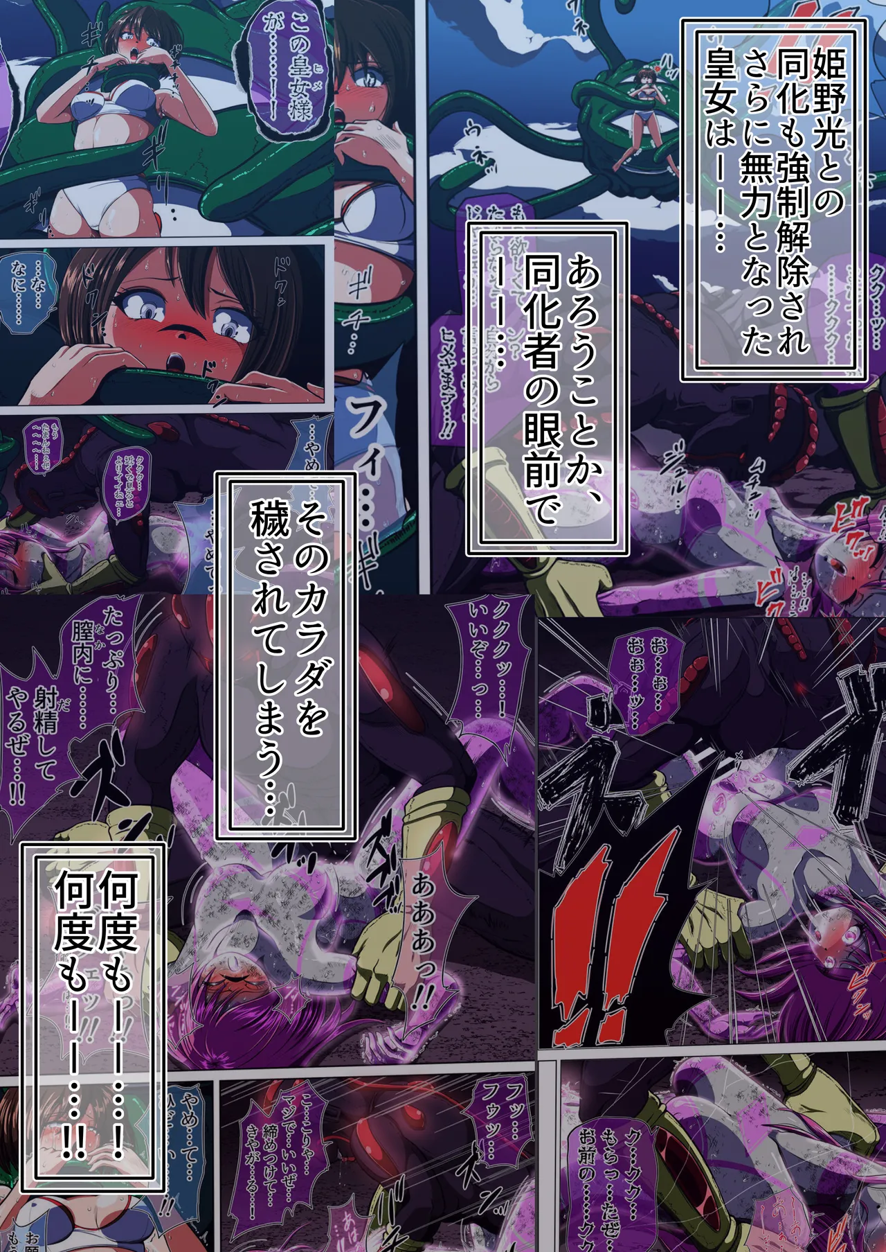 [shade no Urahime (shade)] Fiora Crisis 5 画像番号 11