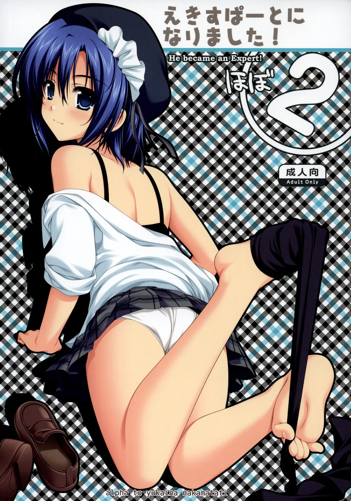 (C74) [Alpha to Yukaina Nakamatachi (ALPHa)] Expert ni Narimashita! Hobo 2 [English] [Schale Scans] 图片编号 1