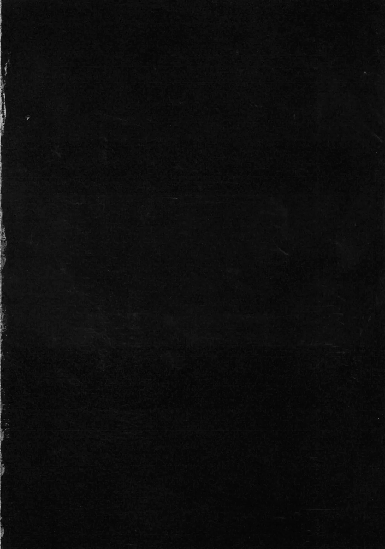 (C107) [Ichigo Slime (Mochiume)] Mashu Bou (Fate/Grand Order) 画像番号 14