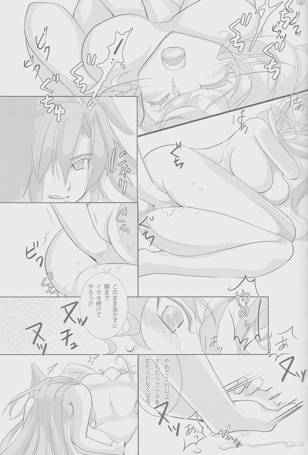 [Ginga Kumiai (Kareko)] Nika Tsuushin 2 (Senki Zesshou Symphogear) 图片编号 12