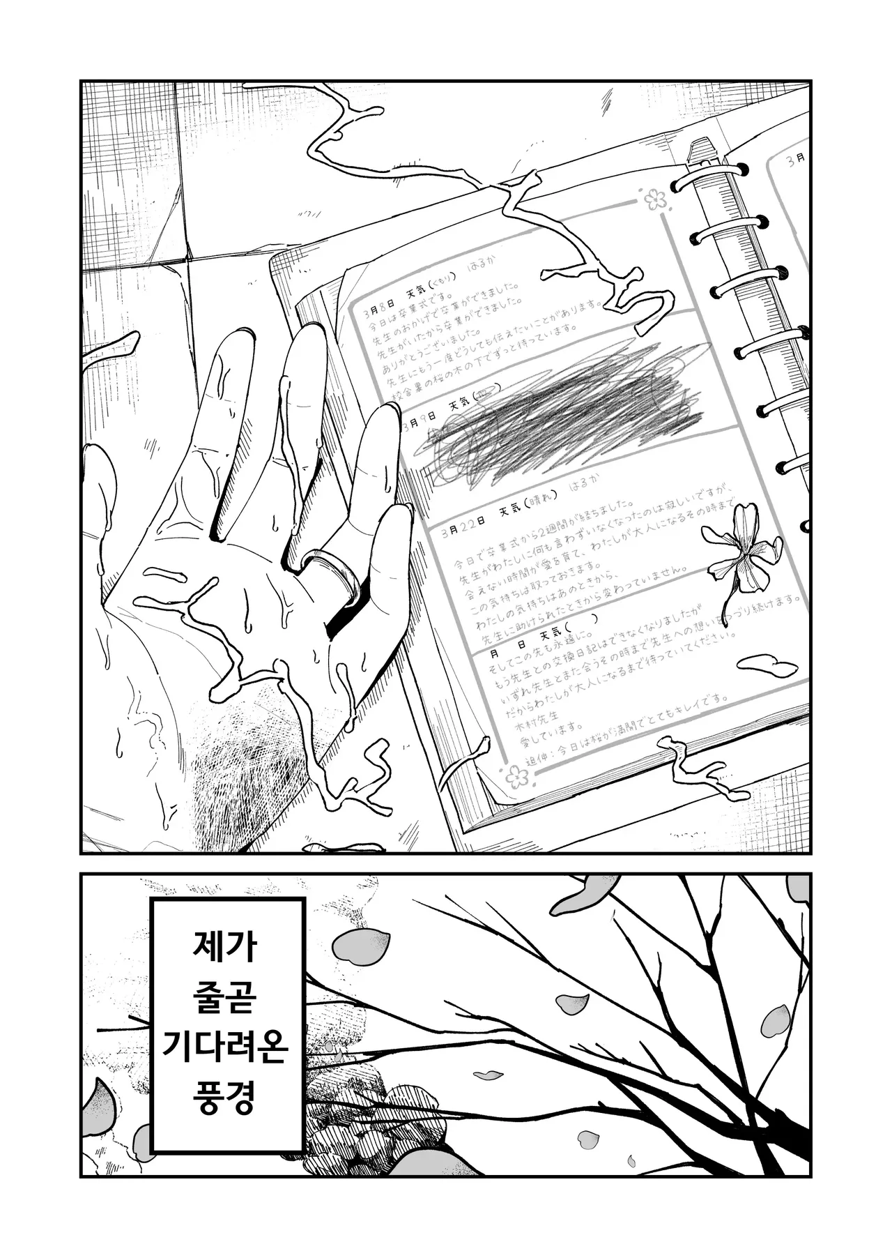 [Mameroku] Kimura-sensei Kansatsu Nikki | 키무라 선생님 관찰일기 [Korean] 图片编号 48
