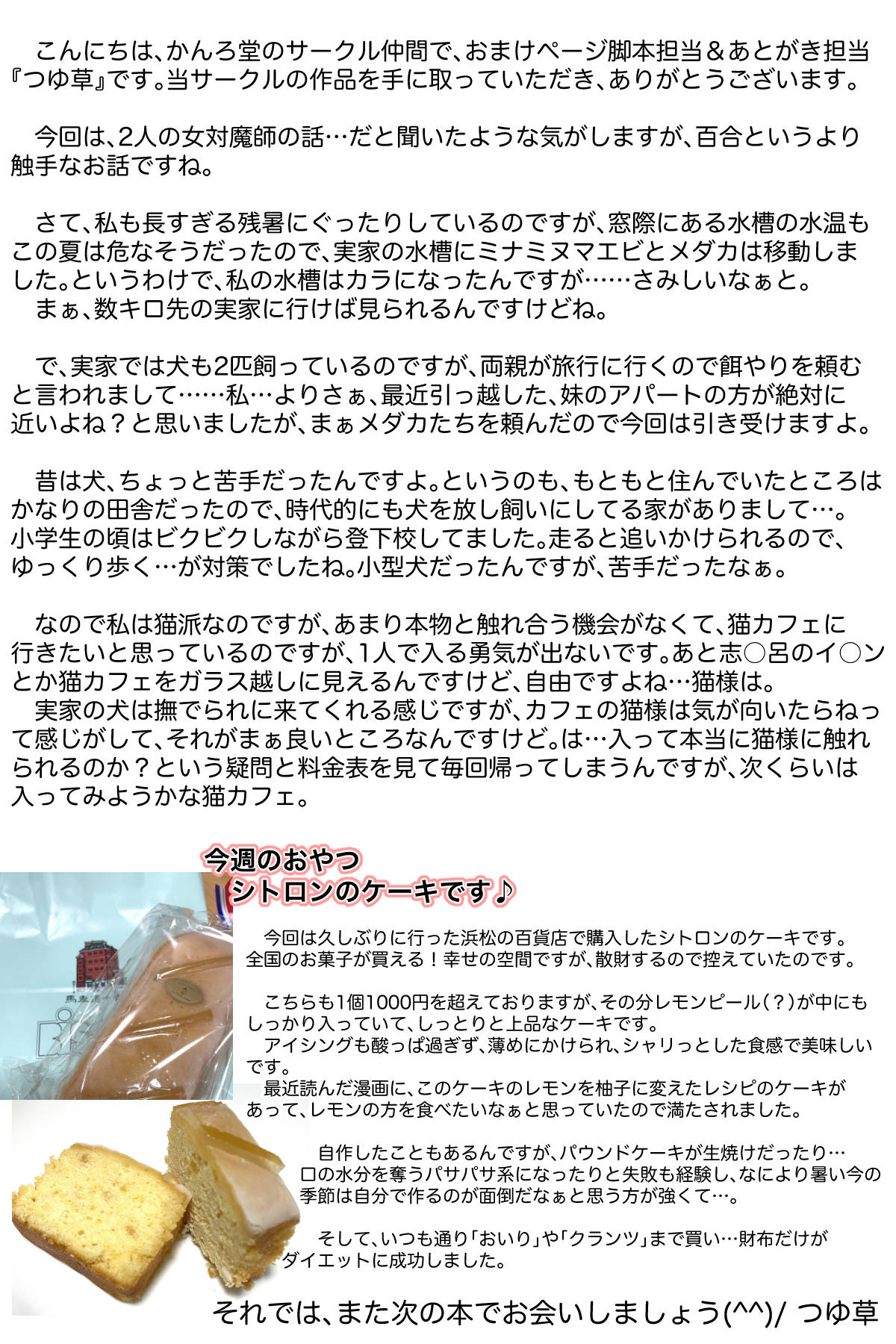 [Kanrodou Art (Kanrodou)] 敗北した2人の対魔師触手責め изображение № 47