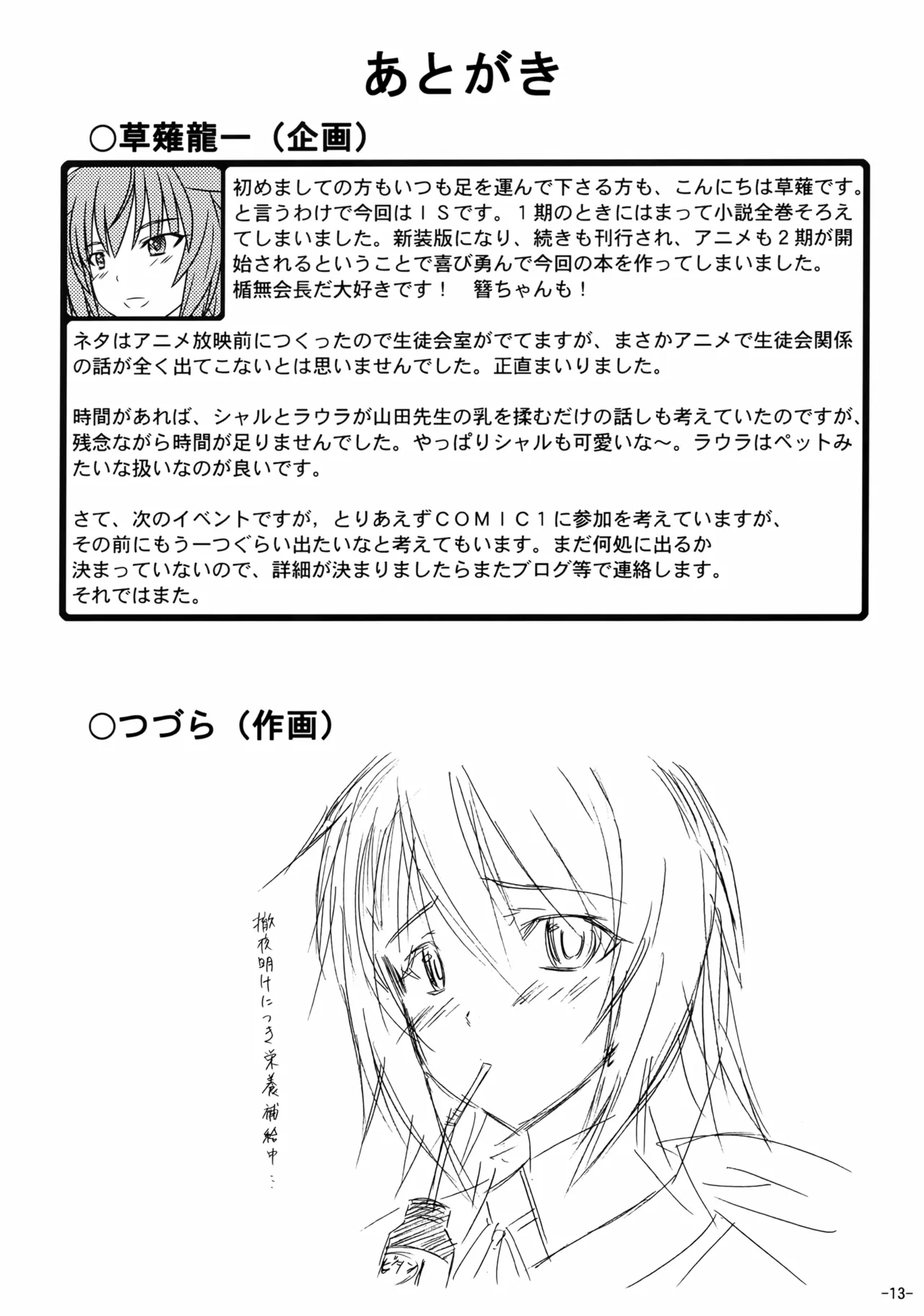 (C85) [Inaridou Shoten (Tsuzura, Kusanagi Ryuuiti)] Incentive Sisters (IS <Infinite Stratos>) 이미지 번호 12
