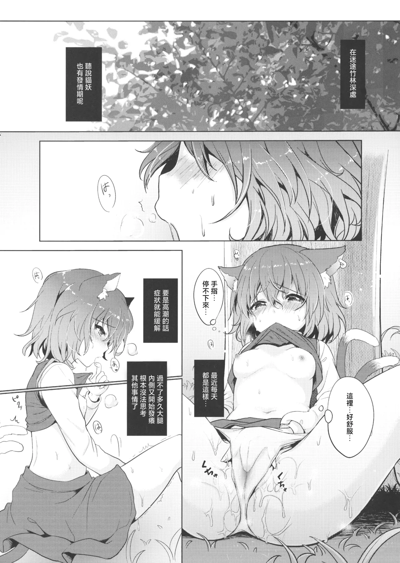 (Meikasai 11) [Kingyo Origin (Kayama Rim)] Chen-chan no Hatsujouki | 橙喵的發情期 (Touhou Project)[Chinese] [明稿昨拖汉化组] 3eme image