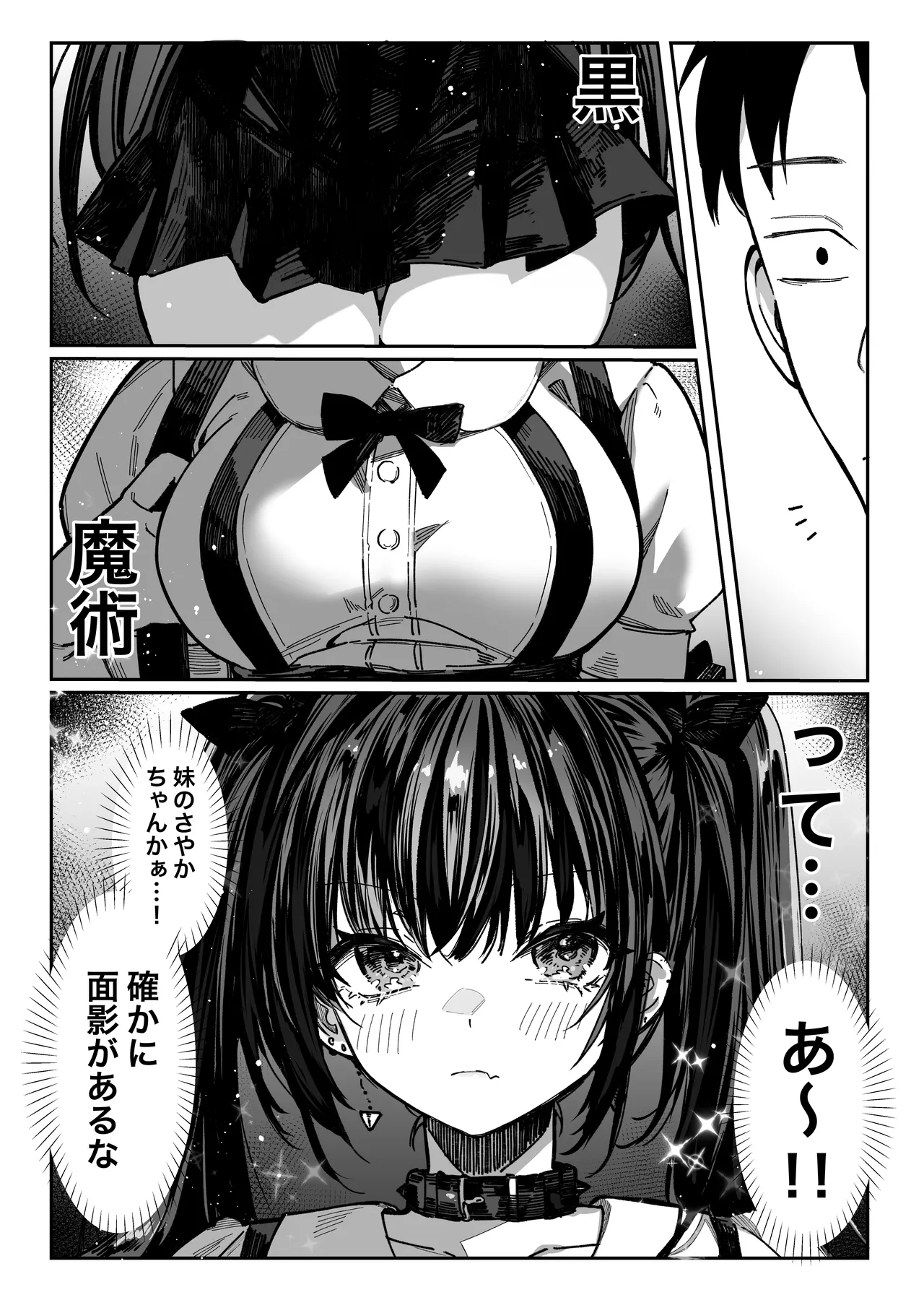 [Pirates Cat] Hamegoto ~Shimai no Himitsu~ 11eme image