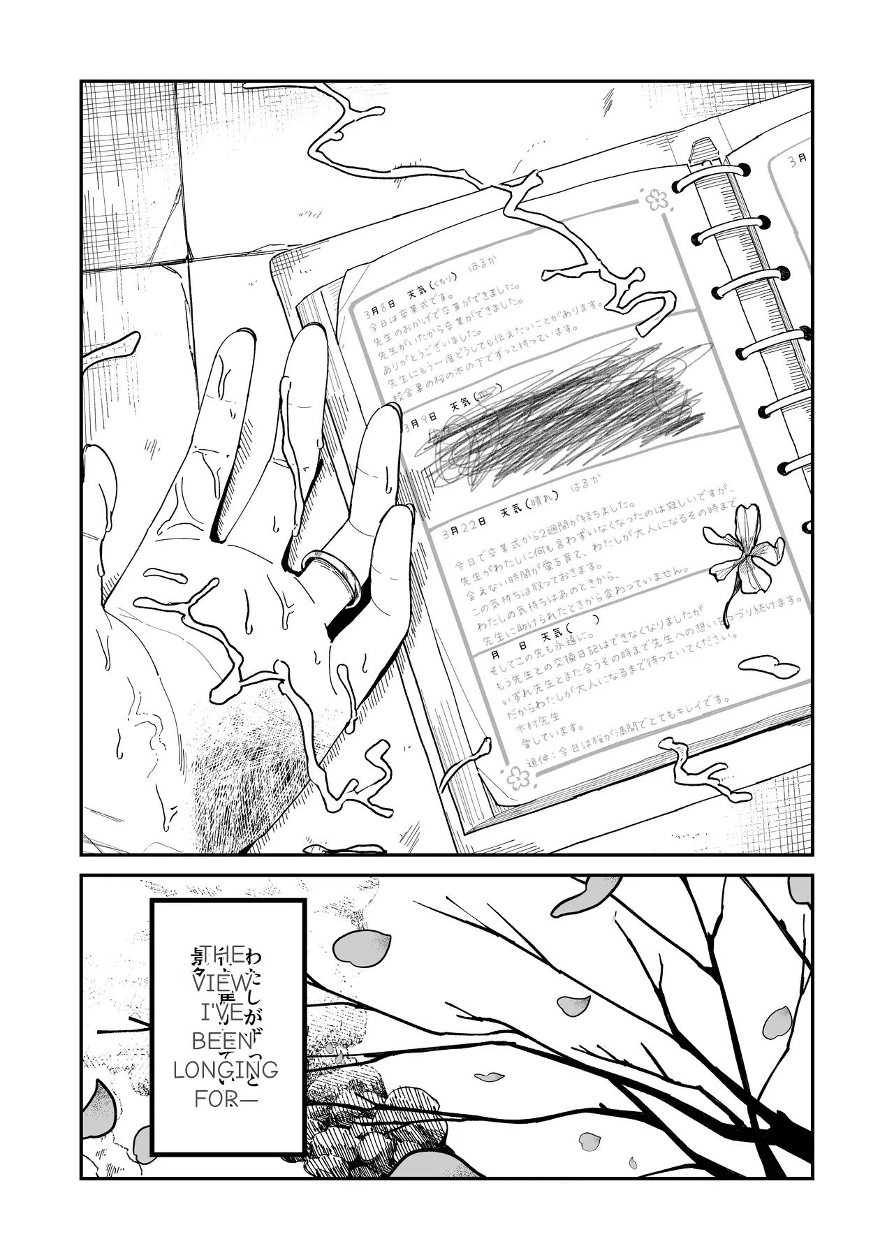 [Mameroku] Mr. Kimura's observation diary 画像番号 44