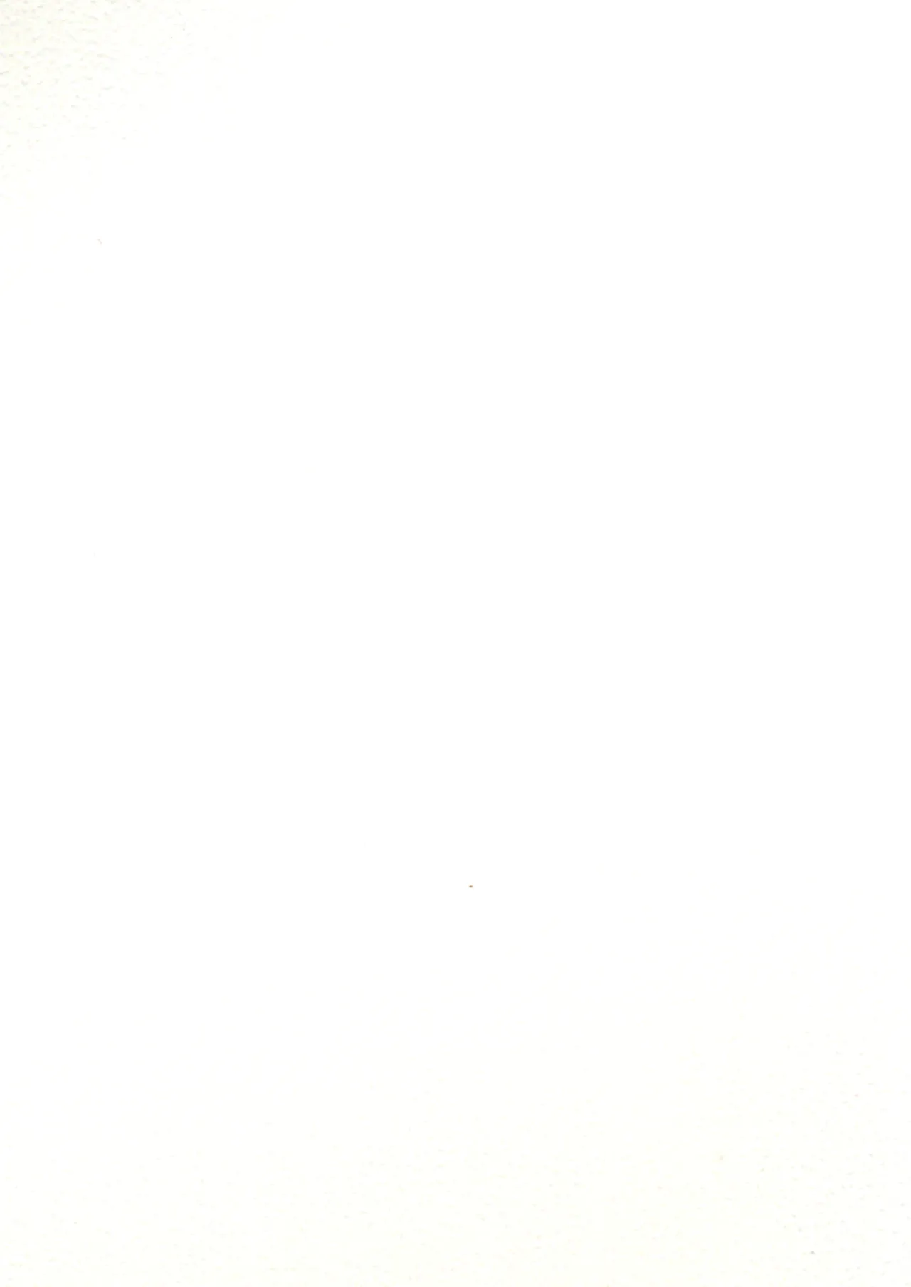 (C100) [COUNTER-CENSORSHIP (Ookami Uo)] 这已经和巫女无关了吧！？[个人汉化] [Chinese] 이미지 번호 2