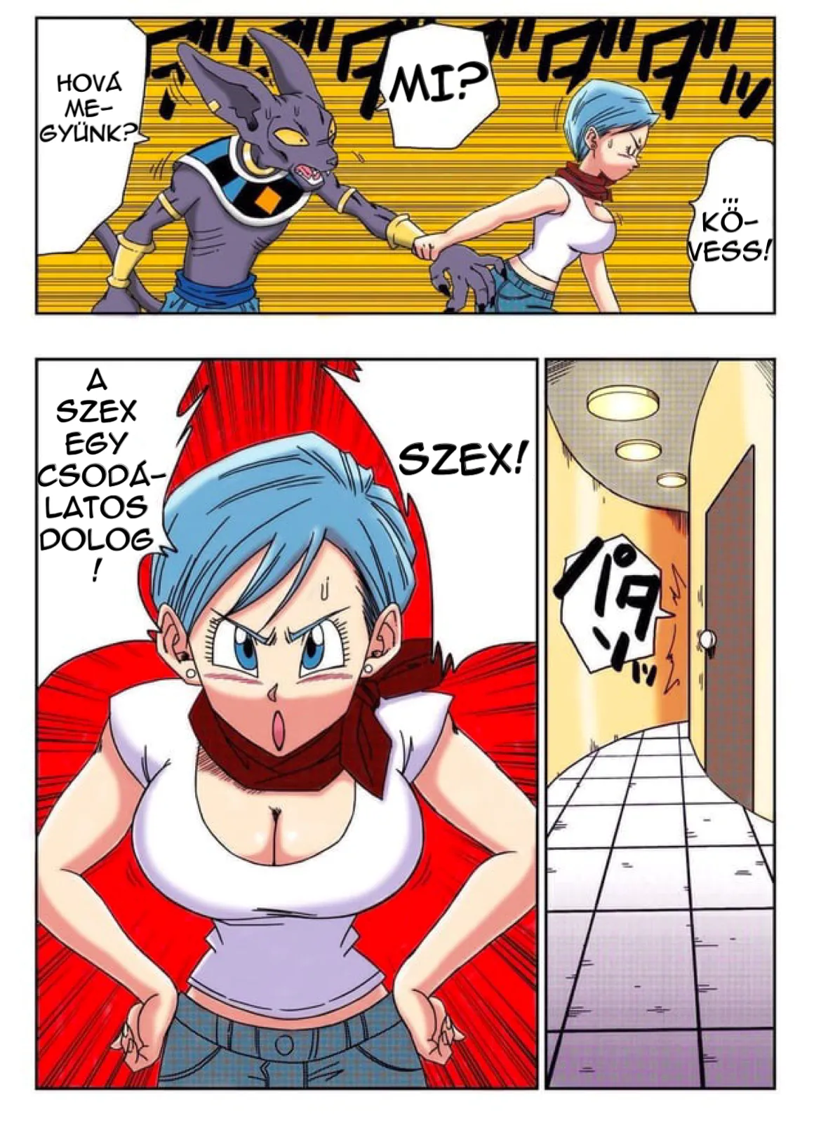 [Yamamotodoujinshi] Bulma megmenti a bolygót (Magyar) numero di immagine  3