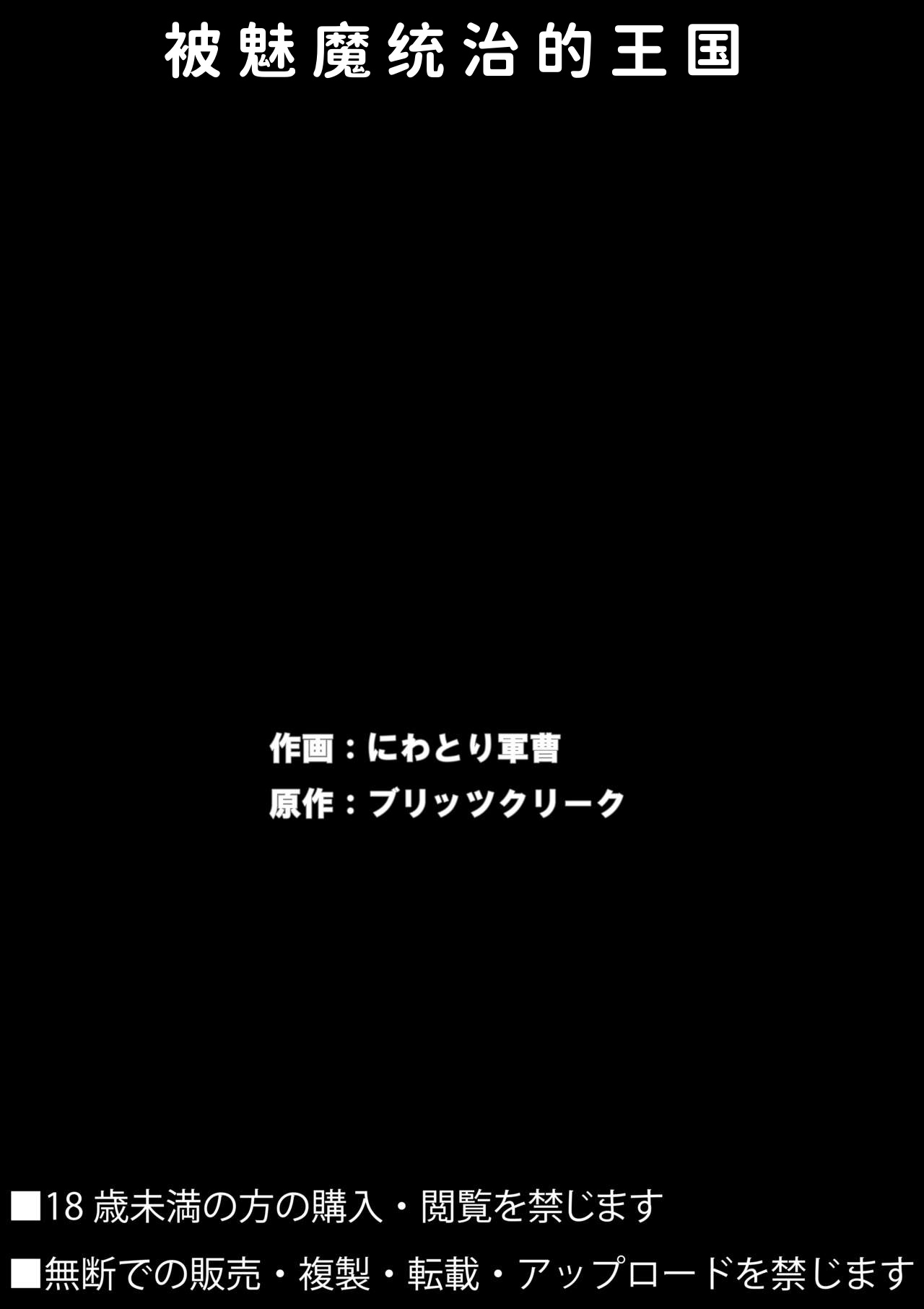 [Blitzkrieg (Niwatori Gunsou)] Succubus ni Shihai Sareta Oukoku | 被魅魔统治的王国 [Chinese] [Mcx2005个人翻译] imagen número 27