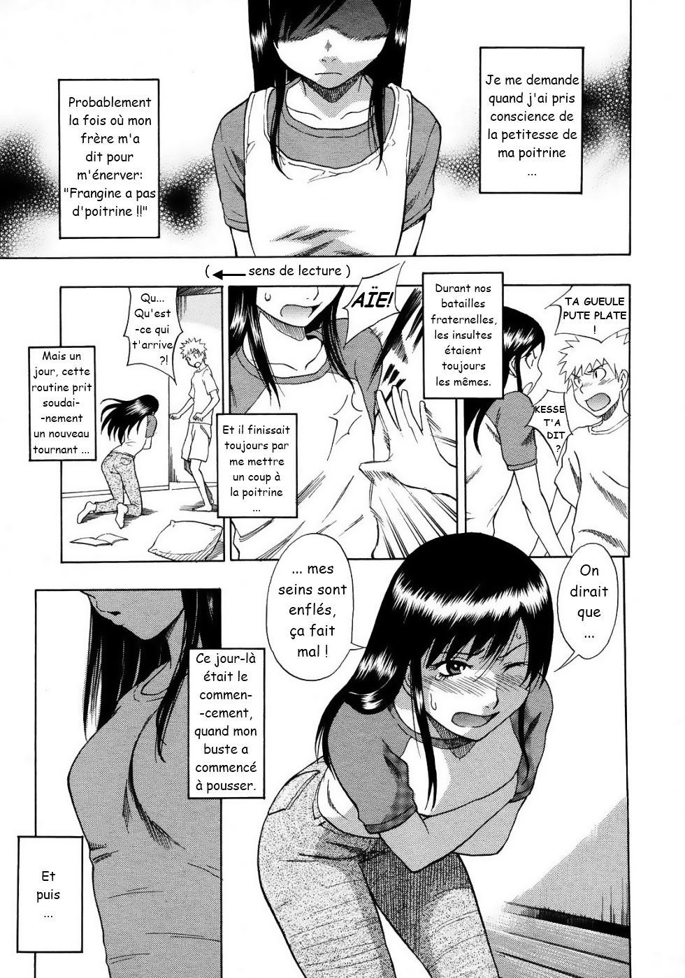[Shiden Akira] Tiny Boobs, Giant Tits History (French) numero di immagine  1