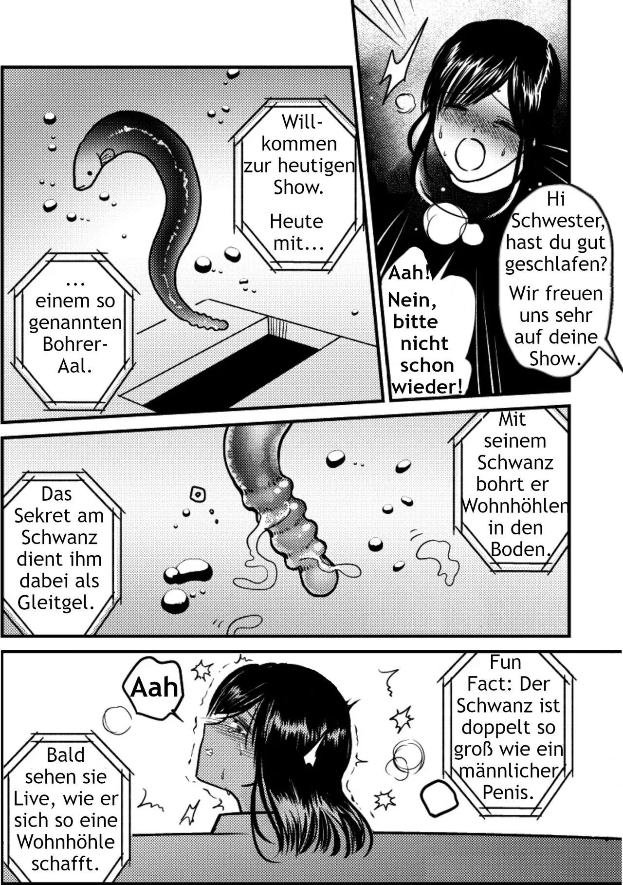 Die neue Attraktion im Aquarium. imagen número 26