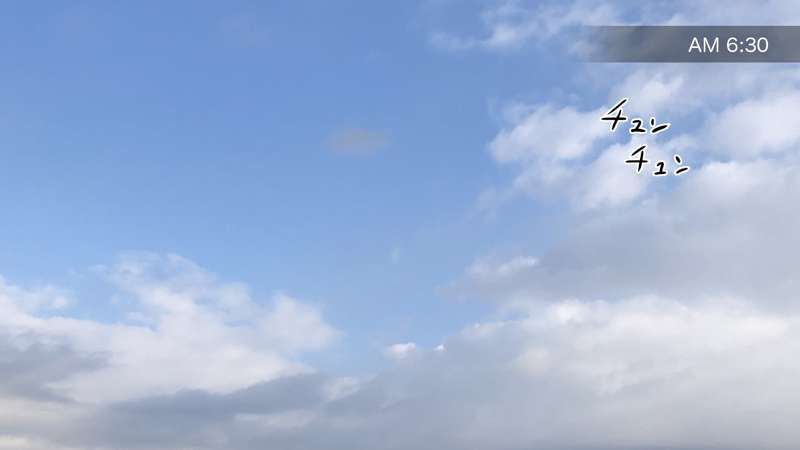 [Saiminsuki] Brainwash the entire apartment building. 图片编号 60