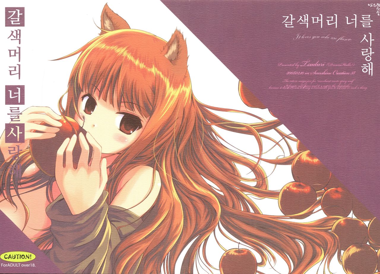 (SC38) [Dream Halls! (Minase Syu, Tsuzuri)] Amairo no Kimi o Aisu | 갈색머리 너를 사랑해 (Spice and Wolf) [Korean] numero di immagine  1