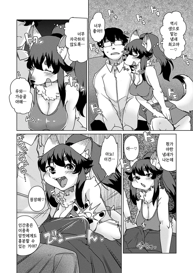 [Setouchi Kurage] Zoku・Juujin Apart Tokoharusou e Youkoso ! | 속・수인 아파트 토코하라장에 어서오세요! Ch.1 [Korean] [Decensored] [Digital] изображение № 15