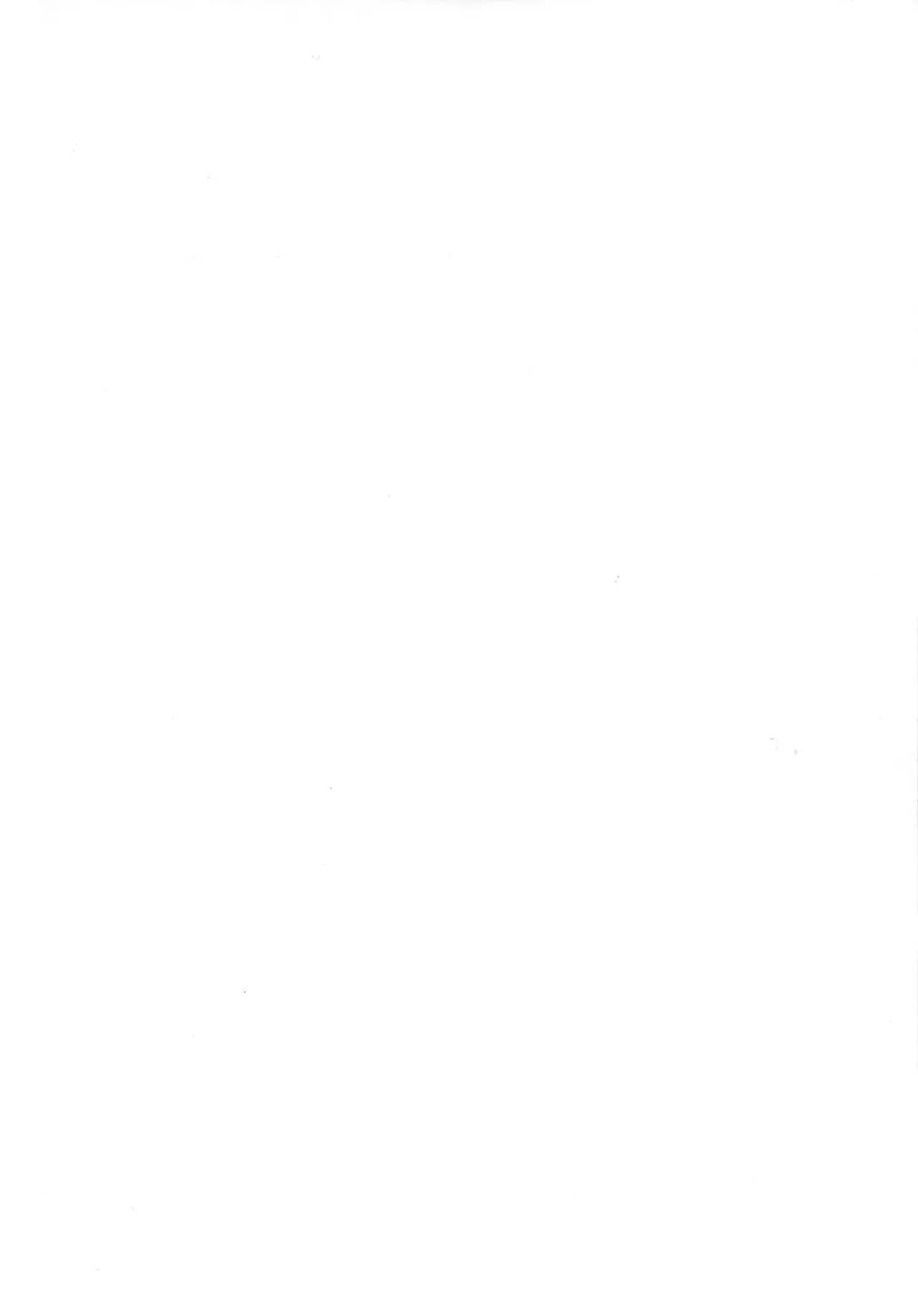 (C102) [Shouchuu MAC (Hozumi Kenji)] Amanda Maman to Off-Pako Zanmai! [Chinese] image number 4