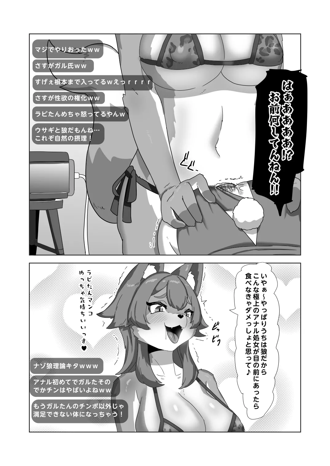 [日々草話 (アパッチ)]ふたなり狼ギャルはウサギ男の娘レイヤーとコラボ配信する！？ imagen número 20