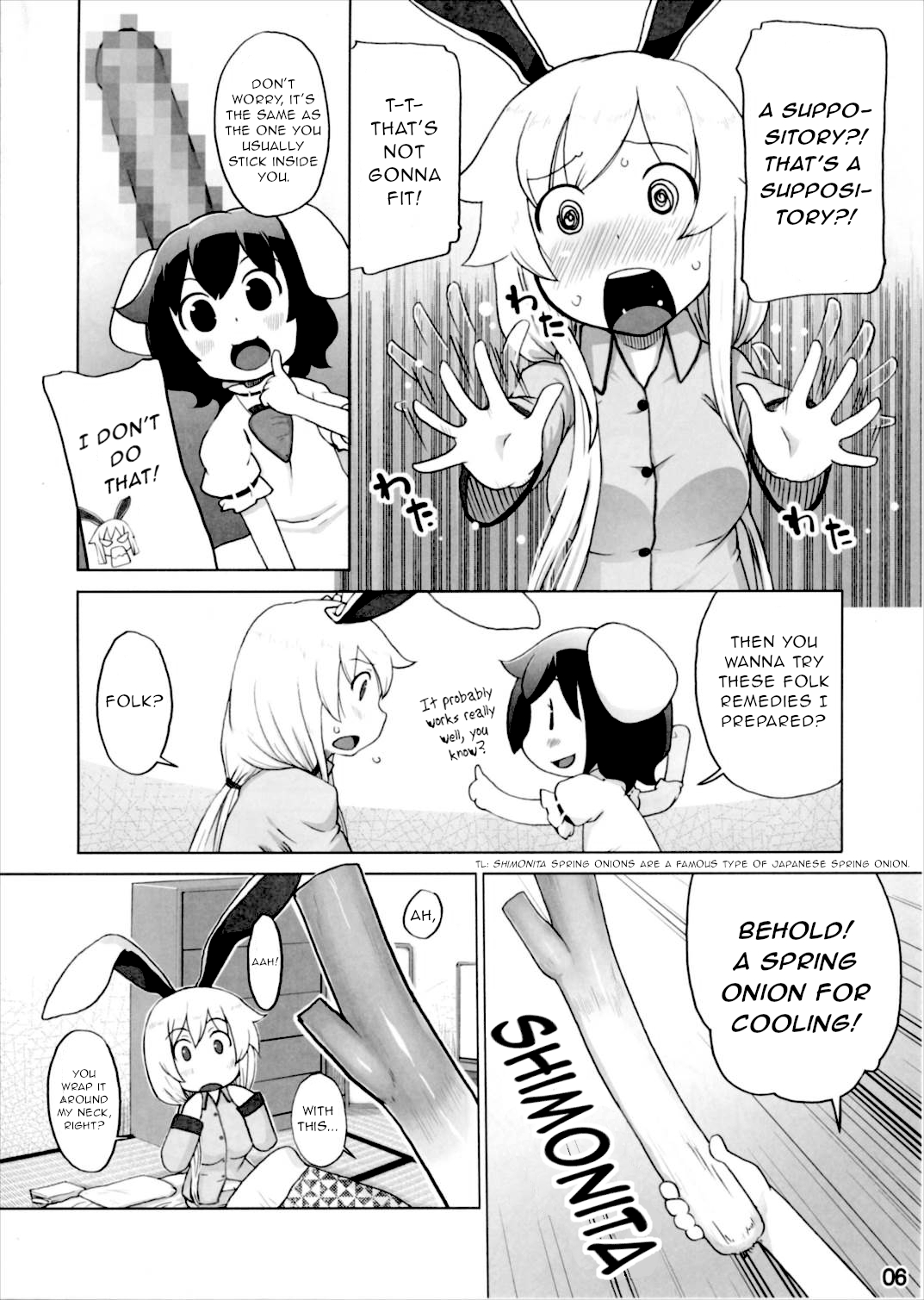 (Gensoukyou Summit 4) [Momo Ego (Kei Jiei)] Kazehiki Usagi to Miru Usagi. (Touhou Project) [English] [Gentletemptl] image number 5
