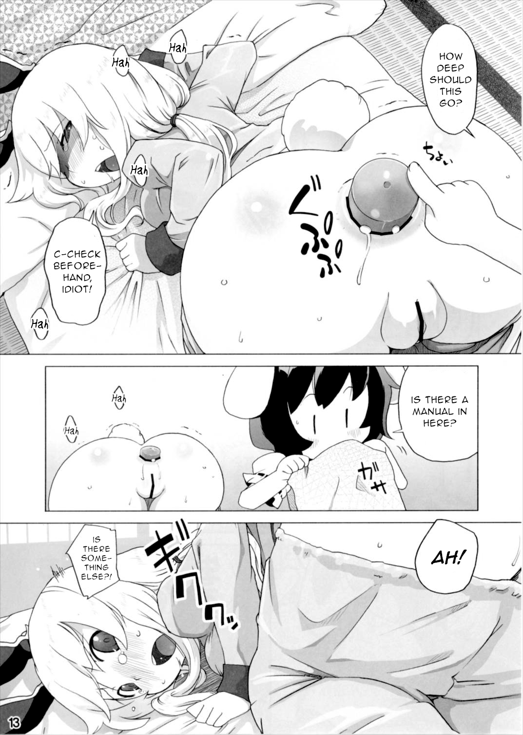 (Gensoukyou Summit 4) [Momo Ego (Kei Jiei)] Kazehiki Usagi to Miru Usagi. (Touhou Project) [English] [Gentletemptl] image number 12