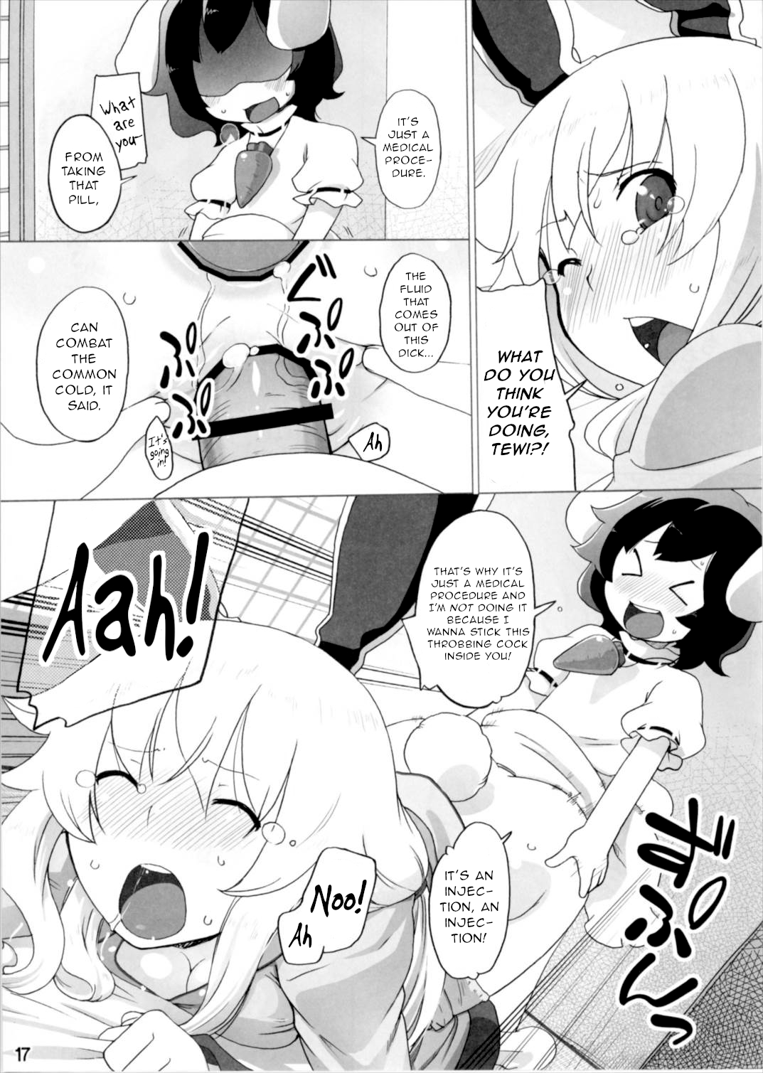 (Gensoukyou Summit 4) [Momo Ego (Kei Jiei)] Kazehiki Usagi to Miru Usagi. (Touhou Project) [English] [Gentletemptl] image number 16