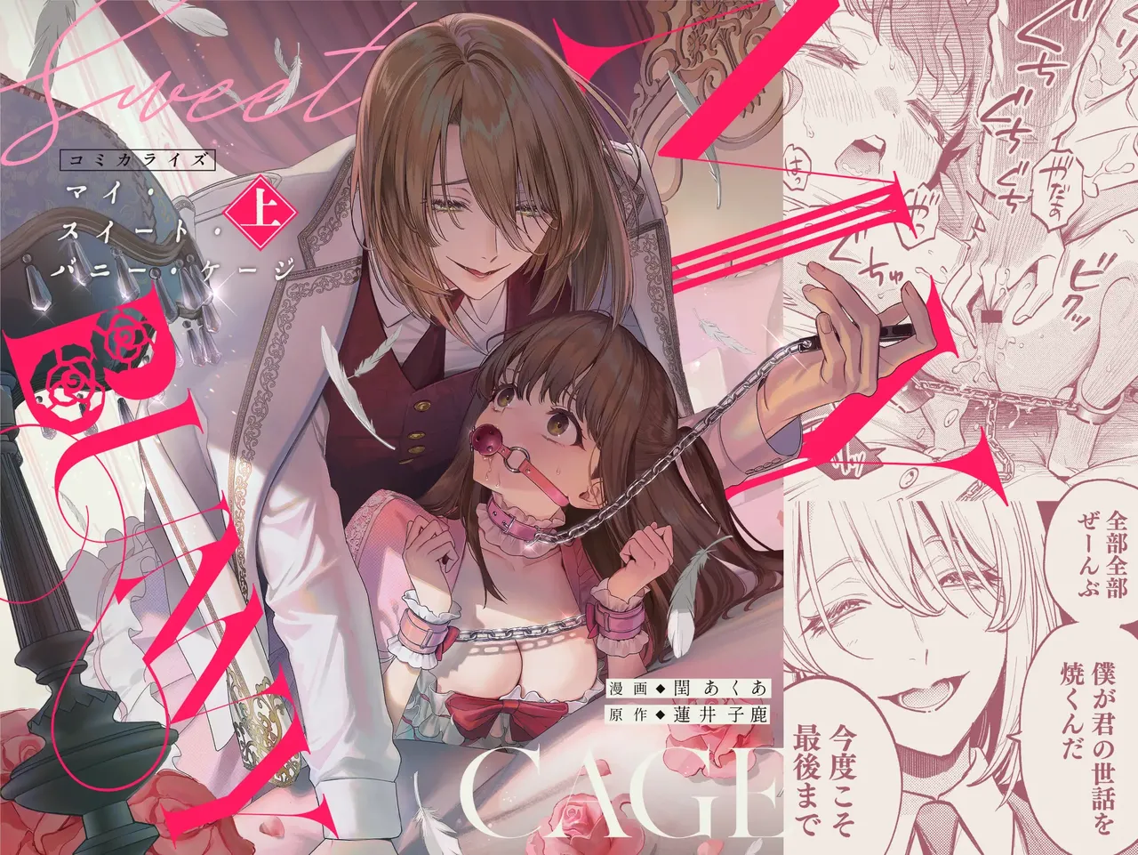 [Volume 1] MY SWEET BUNNY CAGE (SCANMTL) 图片编号 1