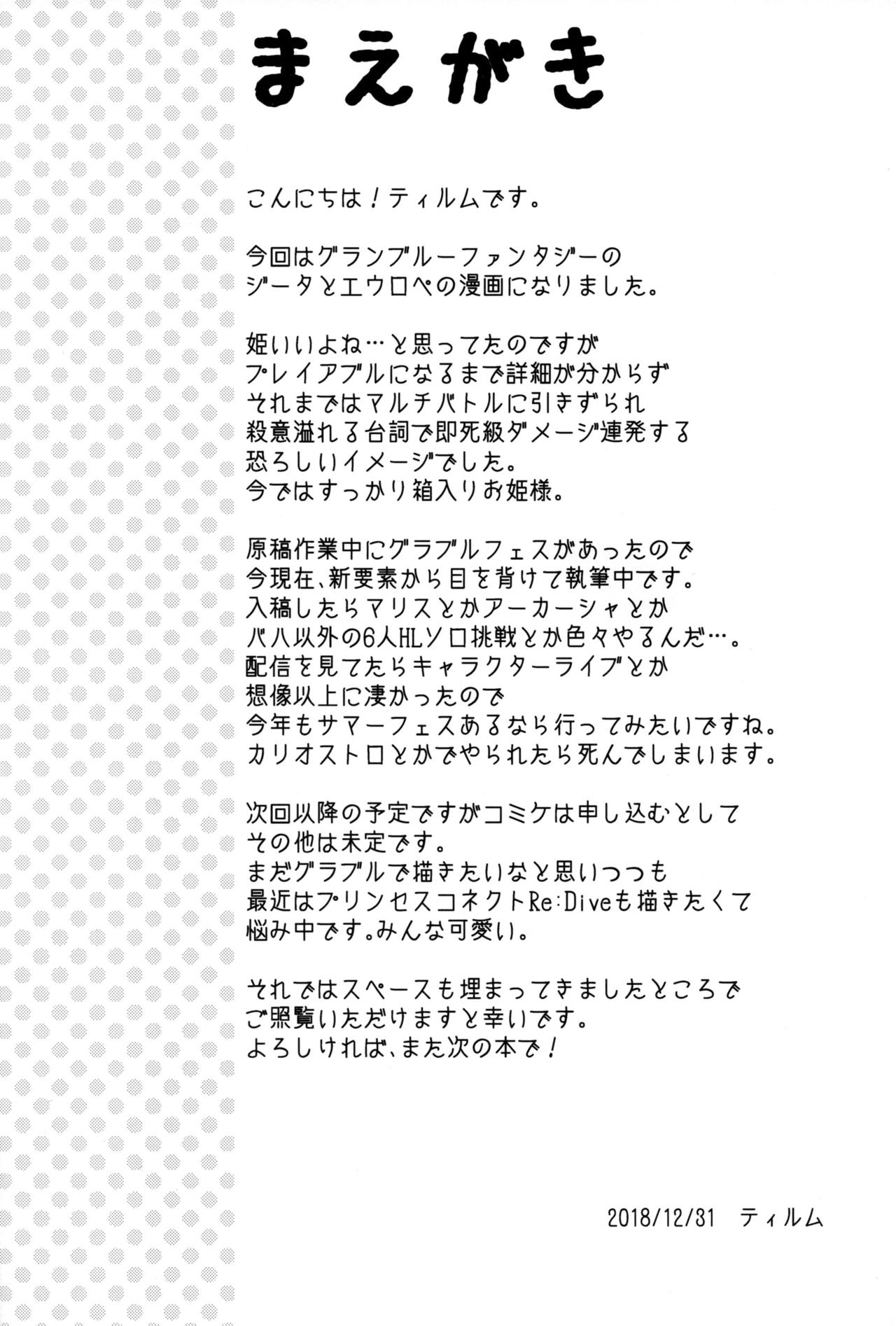 (C95) [Memoria (Tilm)] Princess is Seeking Unknown (Granblue Fantasy) [Chinese] [路过的骑士汉化组] 画像番号 3