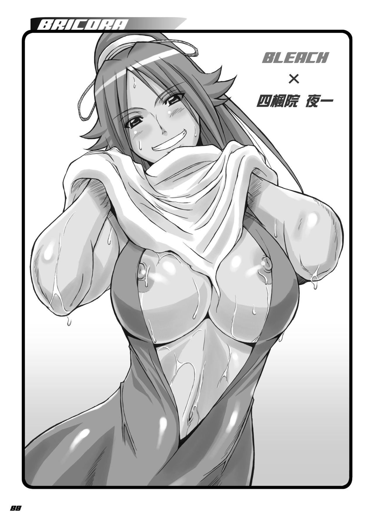 [Diogenes Club (Haikawa Hemlen)] BRICOLA Soushuuhen (Bleach) [Digital] image number 2