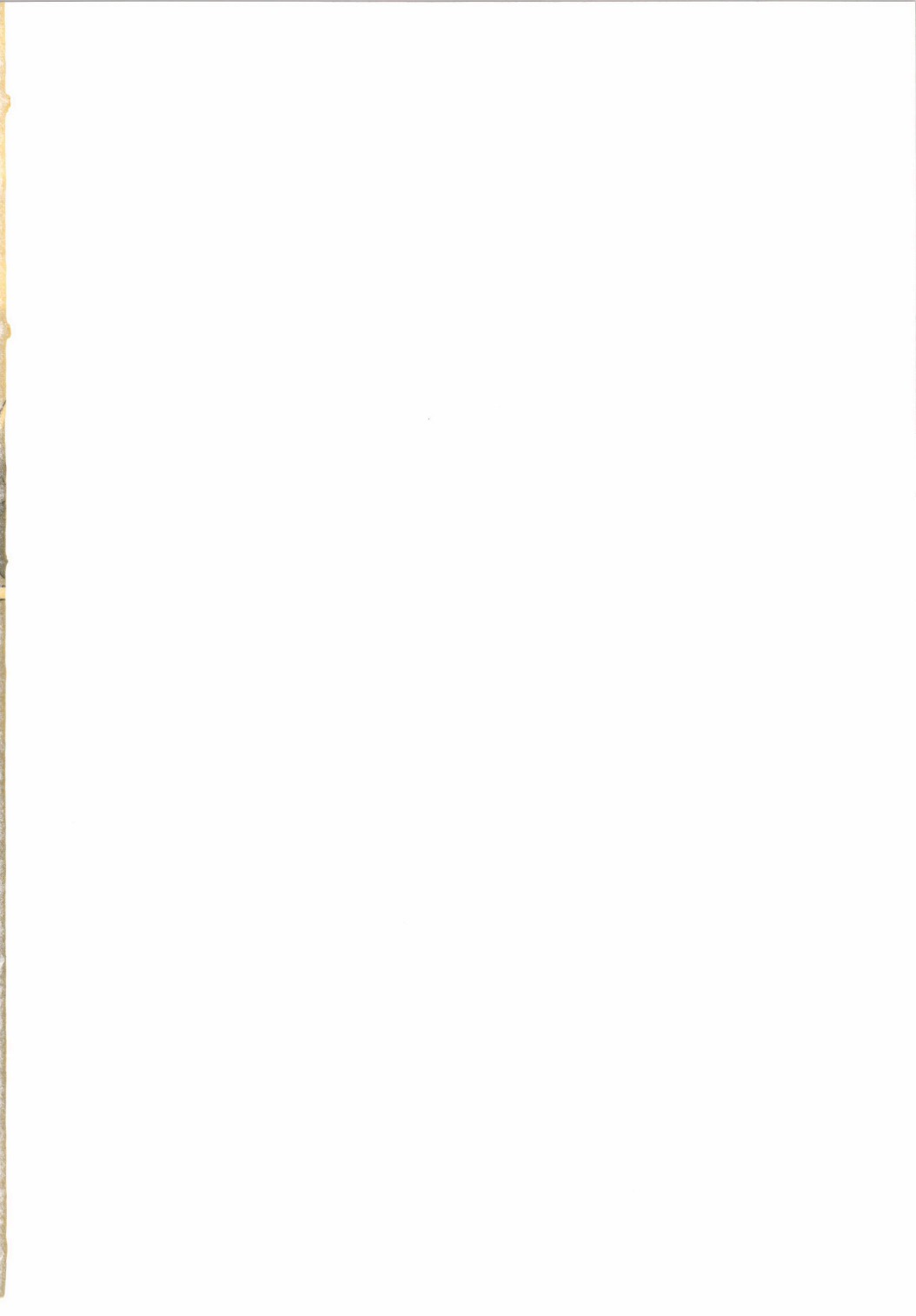 (Reitaisai 11) [RTD (Mizuga)] Chikurin no Tooboe (Touhou Project)  [Chinese] [手机个人汉化] 图片编号 2