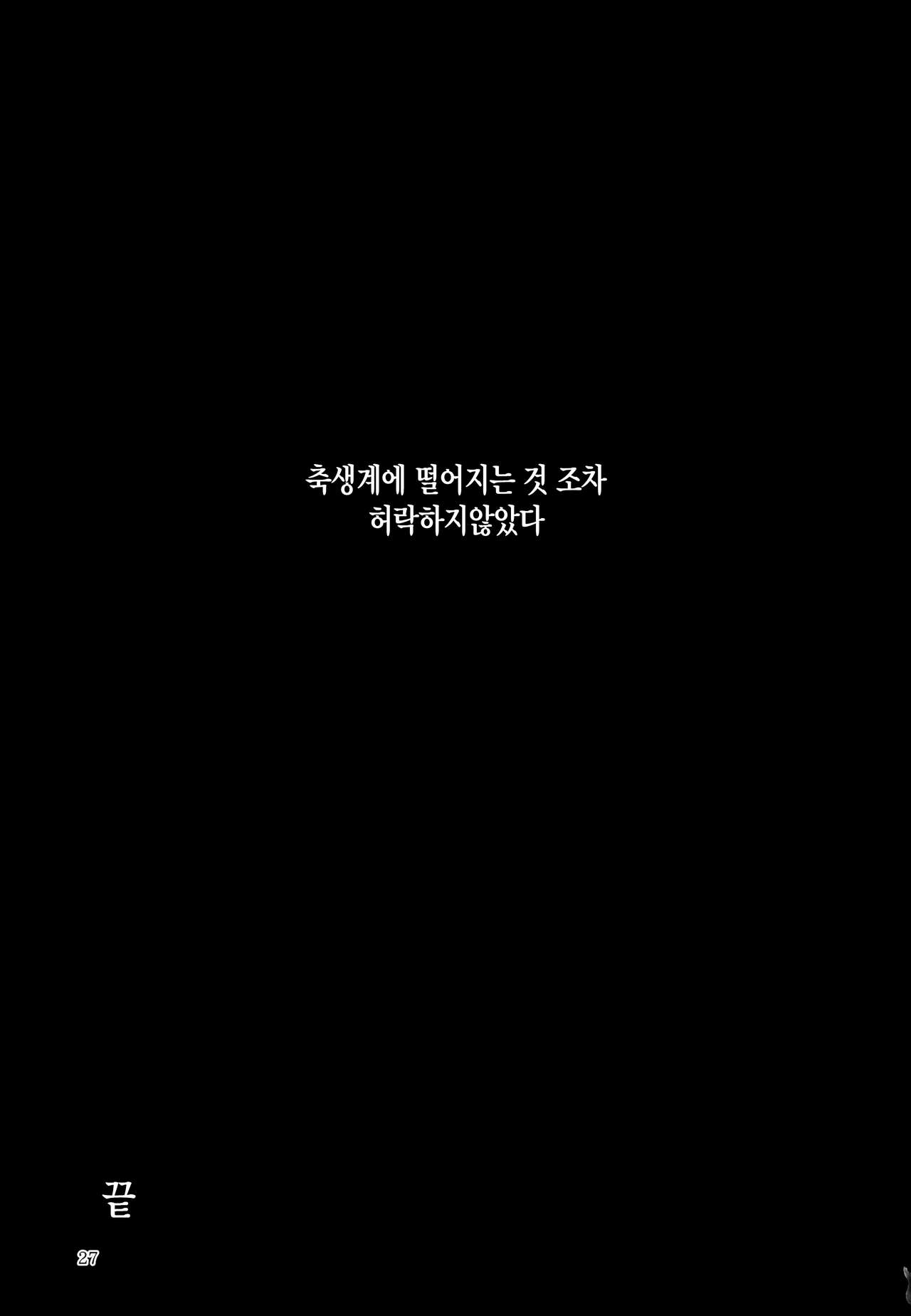 (C95) [Midorineko (Midori)] Hakumayo Schedule PM | 하얀심야의 스케쥴PM (Touhou Project) [Korean] [시뮬라시옹] numero di immagine  28