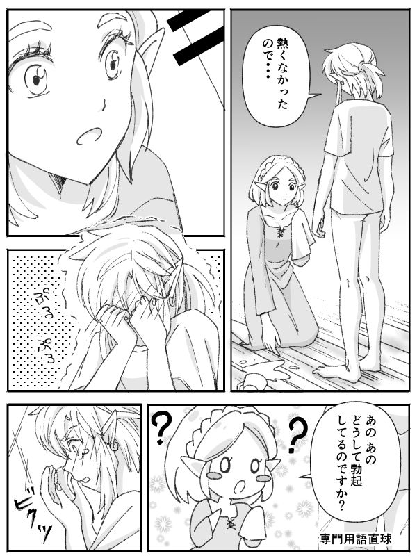 [Kodzuyu] Burewai rinzeru(The Legend of Zelda) 画像番号 5