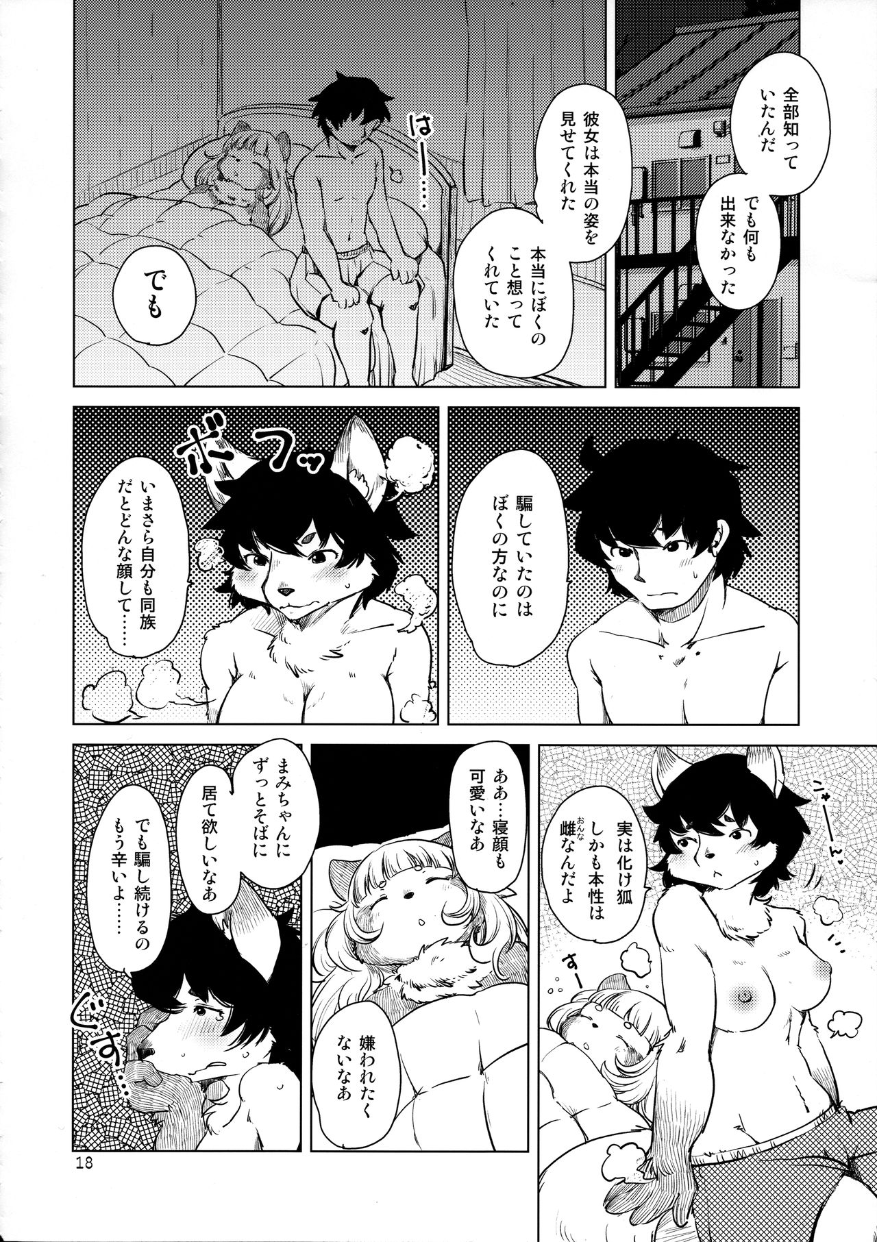 (Kemoket 8) [Noraya (Setouchi Kurage)] Bakashi Ai 이미지 번호 18