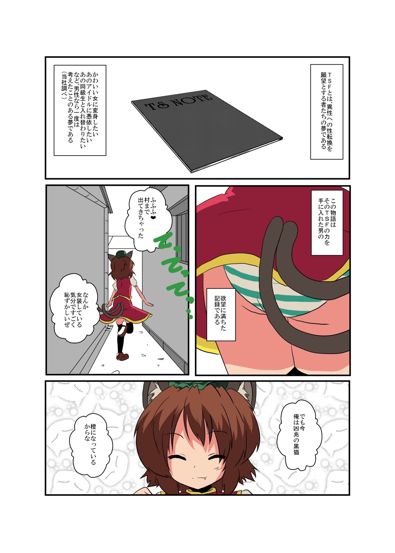 [Ameshoo (Mikaduki Neko)] Touhou TS Monogatari ~Chen hen 2~ (Touhou Project) Bildnummer 5