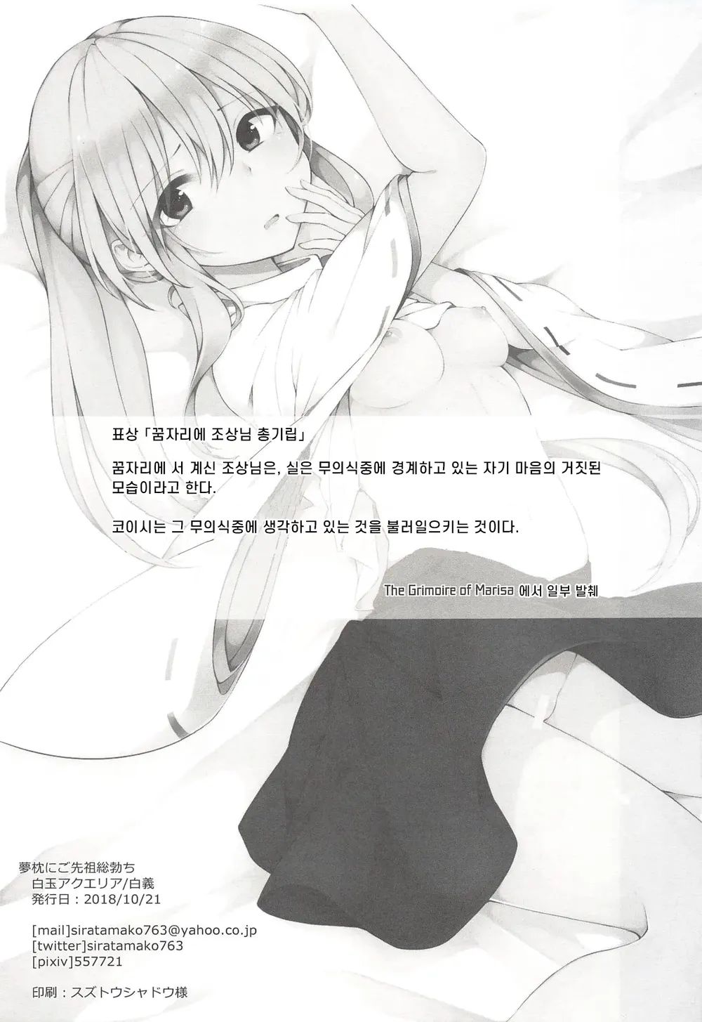 (Kouroumu 14) [Hakugyoku Aquarea (Hakugi)] Yumemakura ni Gosenzo Soudachi | 꿈자리에 조상님 총기립 (Touhou Project) [Korean] image number 24