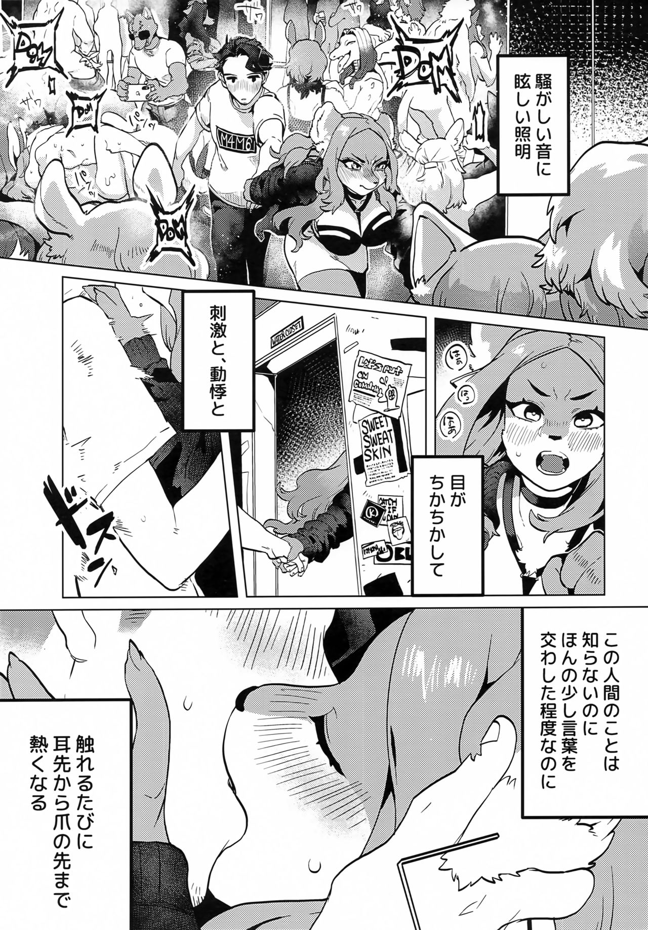 (Kemoket 10) [Okett (Teko)] ELECTRONICDANCEMUSIC 이미지 번호 10