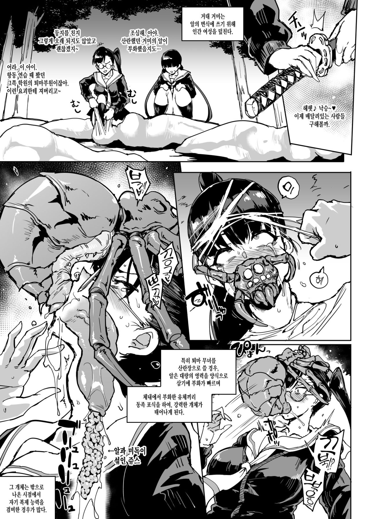 [Fan no Hitori] JK Taimabu Season 2 [Korean] 이미지 번호 7