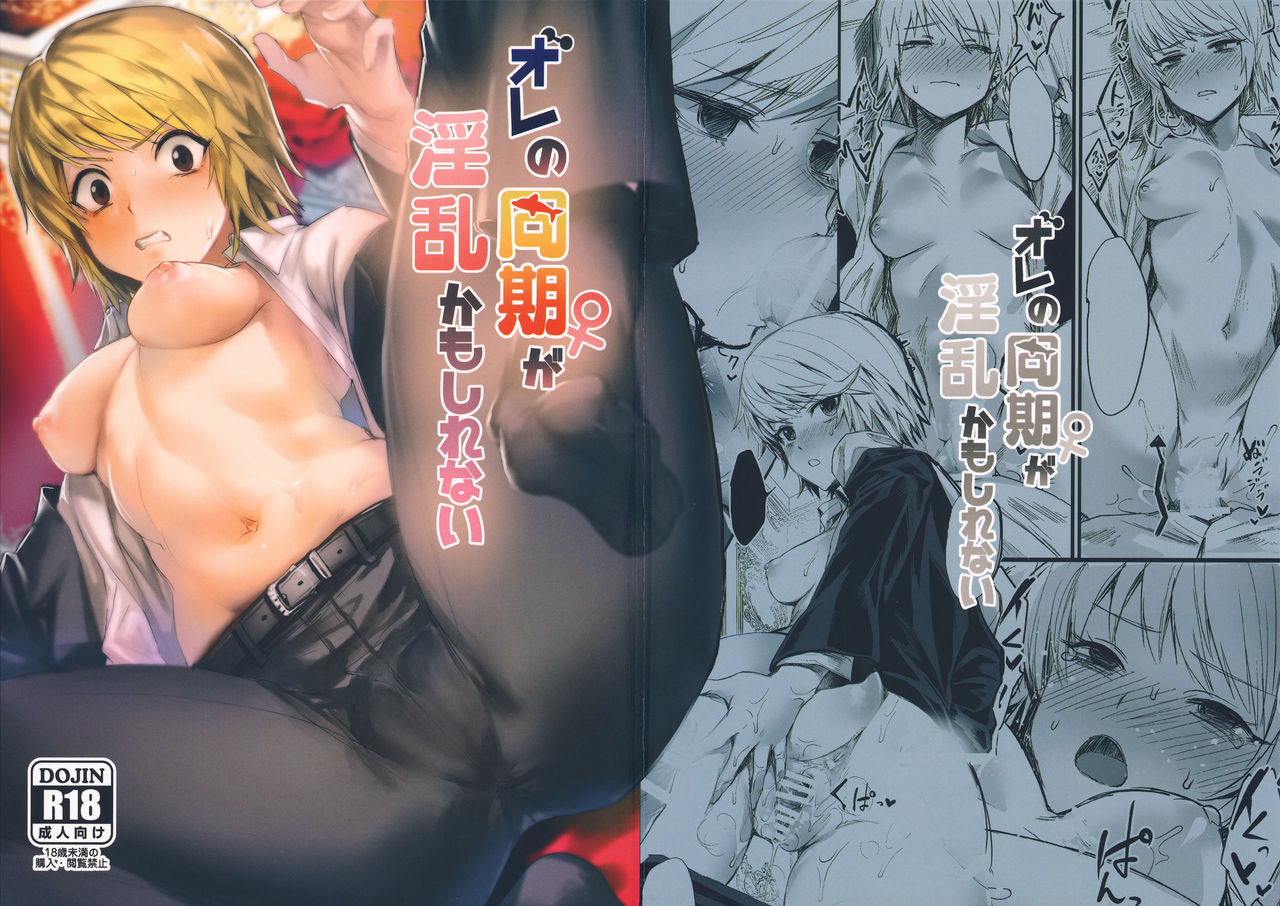 (C95) [Takeritake Daishuukakusai (Echigoya Takeru)] Ore no Douki ga Inran kamo Shirenai (Hunter x Hunter) 图片编号 1