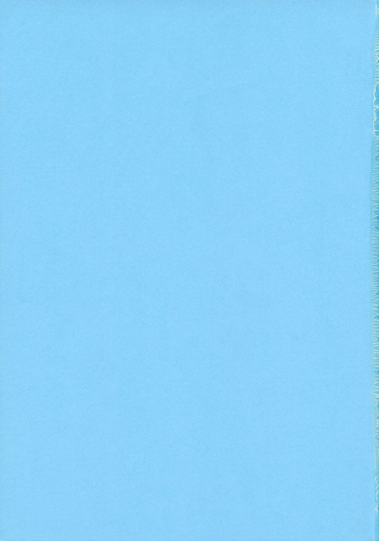 (SC45) [Todd Special (Todd Oyamada)] Heart Break (BlazBlue) 画像番号 23