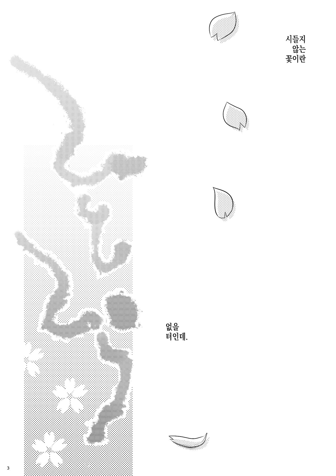 (C77) [TRIP SPIDER (niwacho)] Hitohira | 한 송이 (Fate/stay night) [Korean] [이거맛좀봐] image number 2