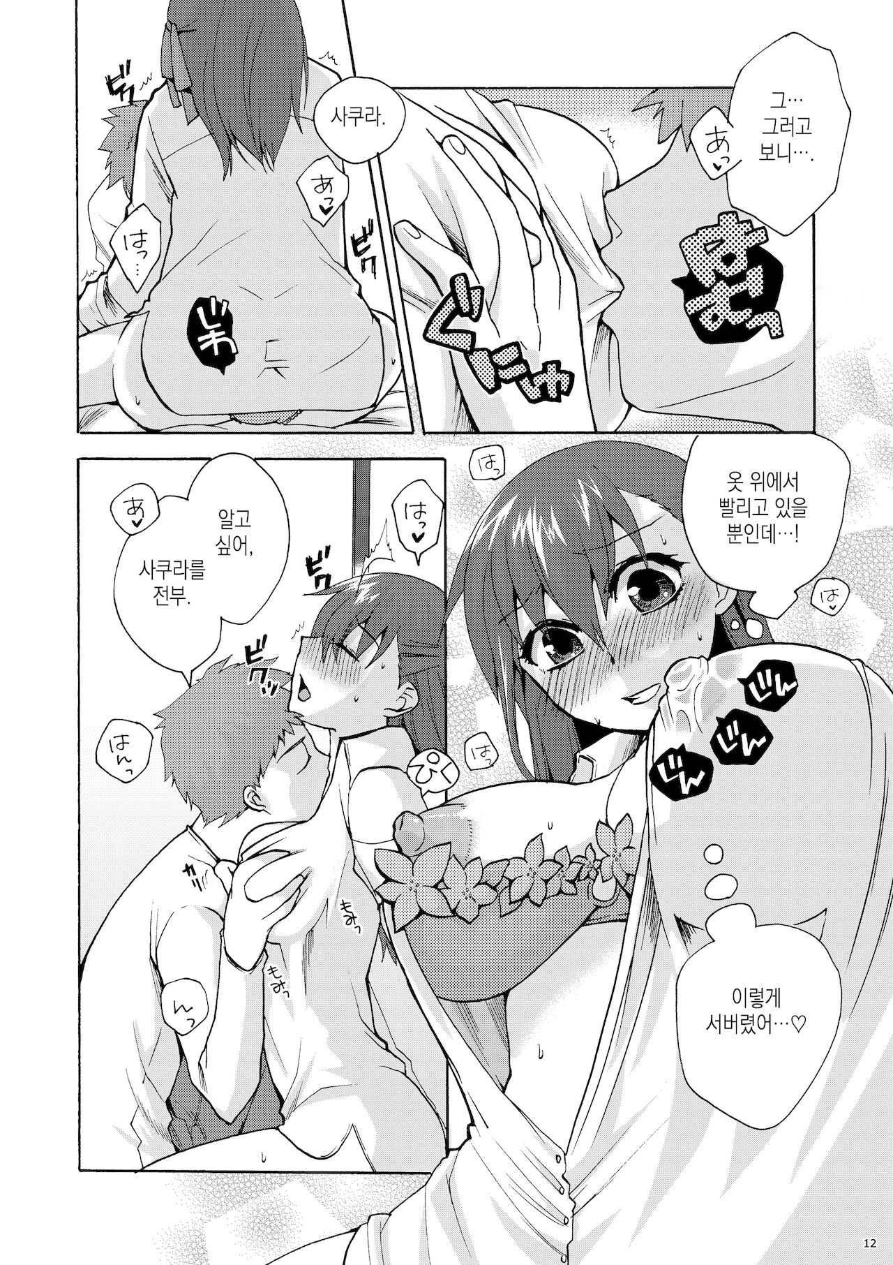 (C77) [TRIP SPIDER (niwacho)] Hitohira | 한 송이 (Fate/stay night) [Korean] [이거맛좀봐] image number 11